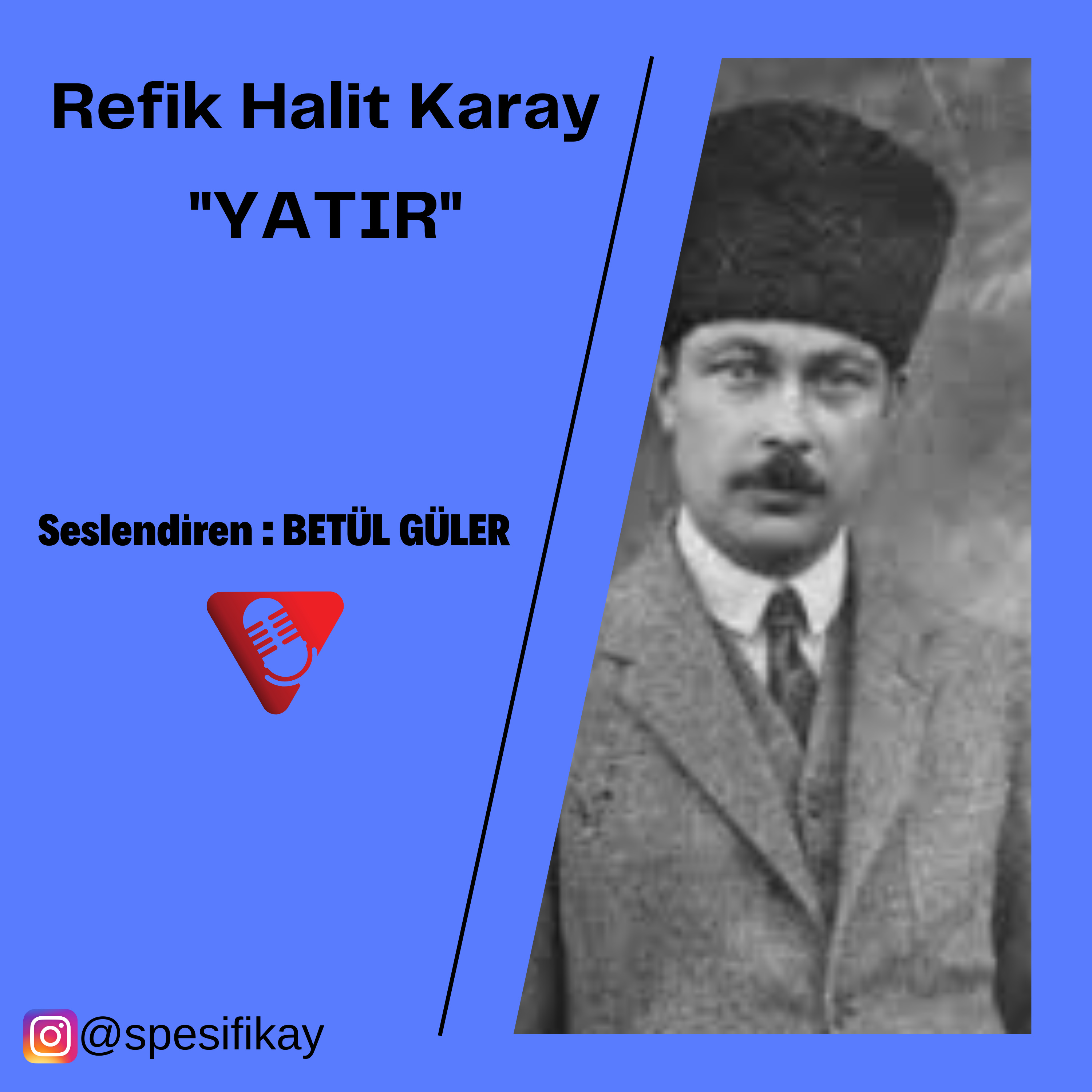 Betül Güler Sesli Kitap