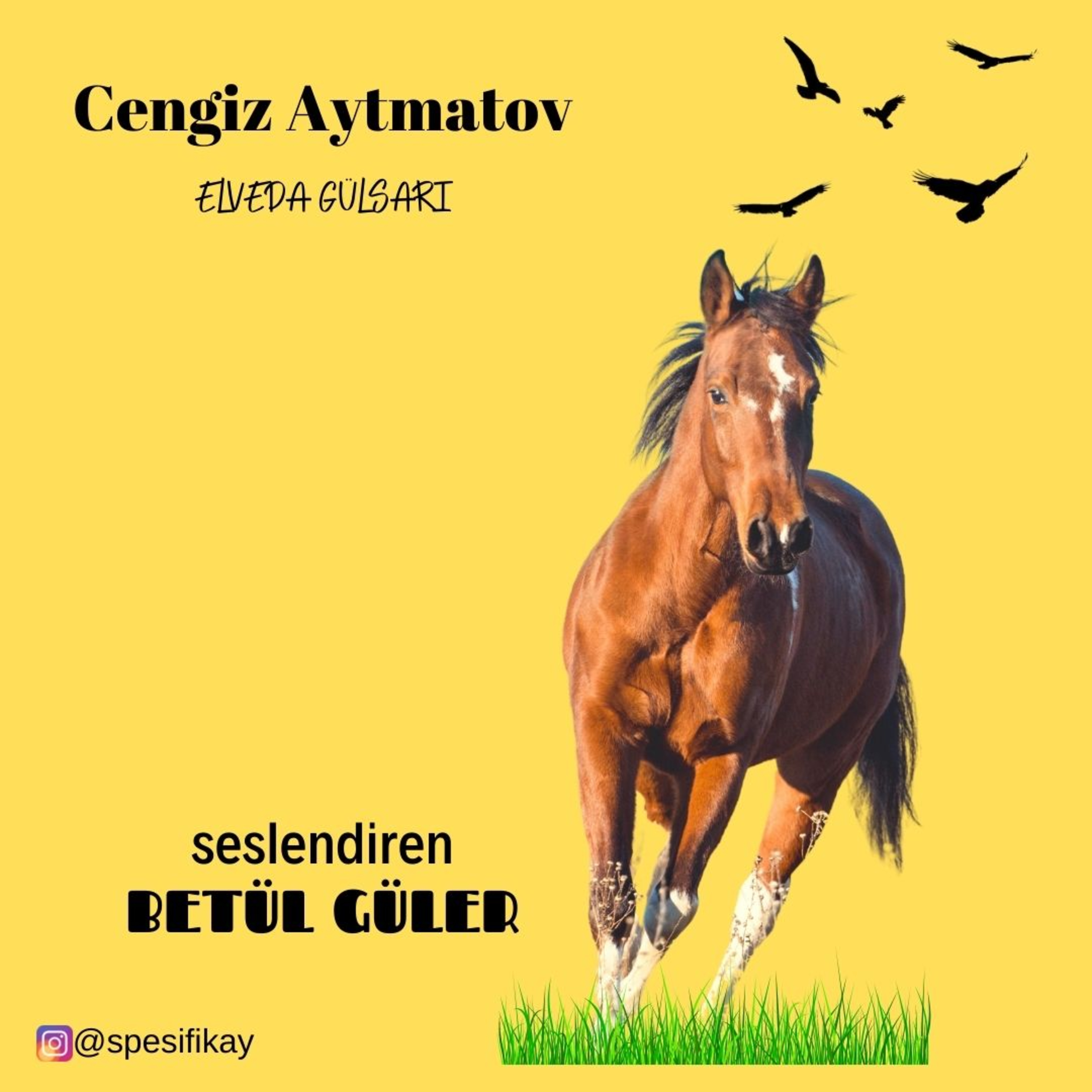 Betül Güler Sesli Kitap