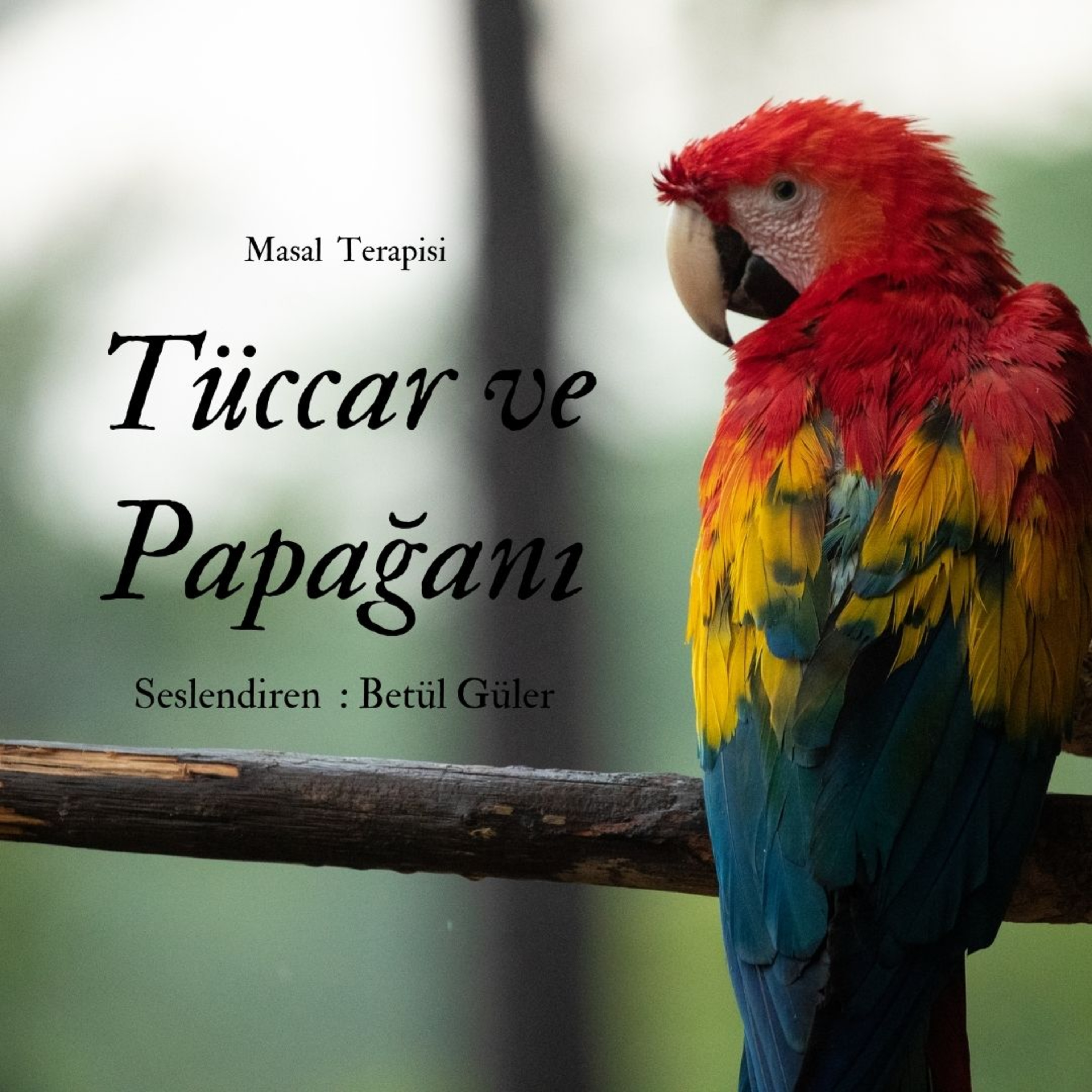 Betül Güler Sesli Kitap