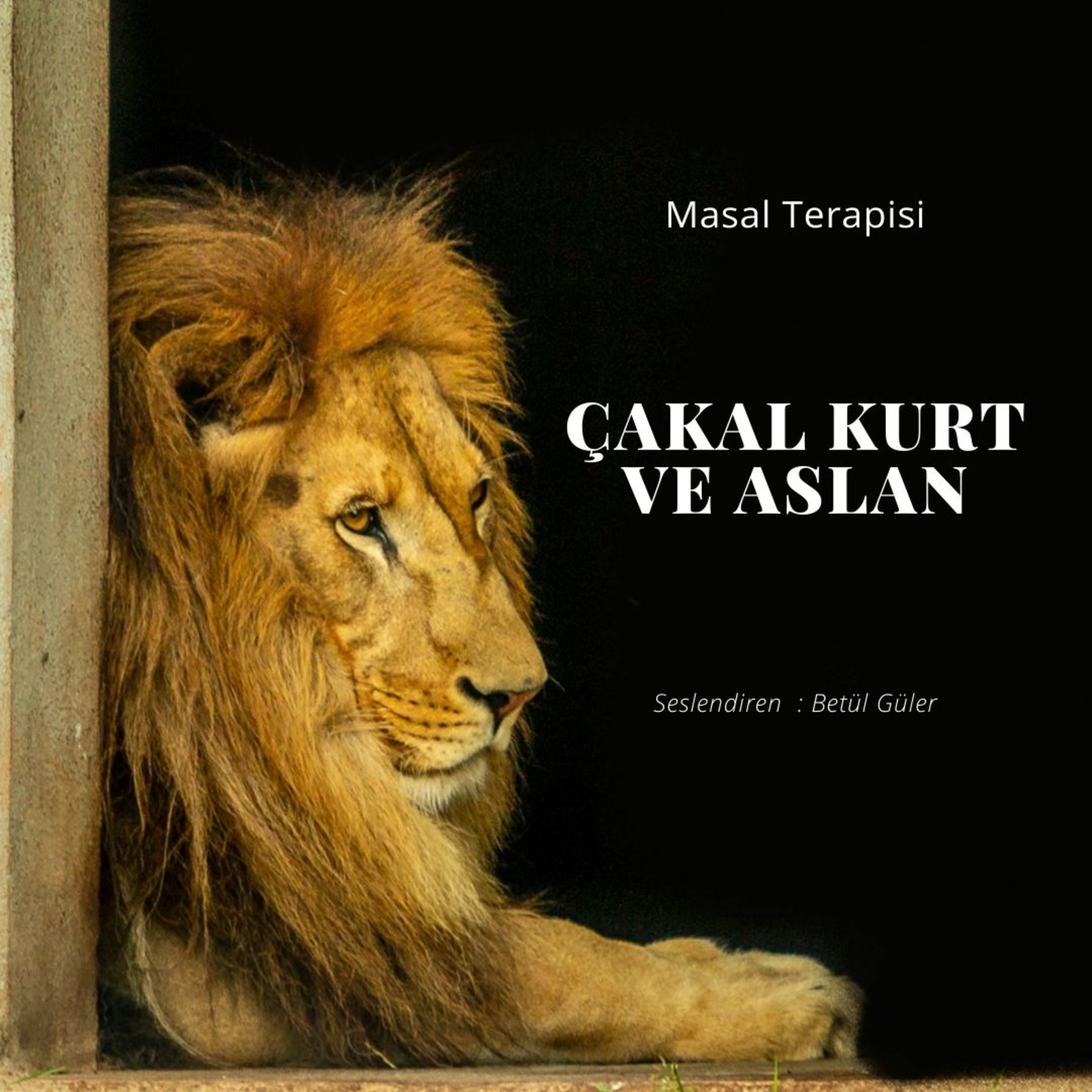 Betül Güler Sesli Kitap