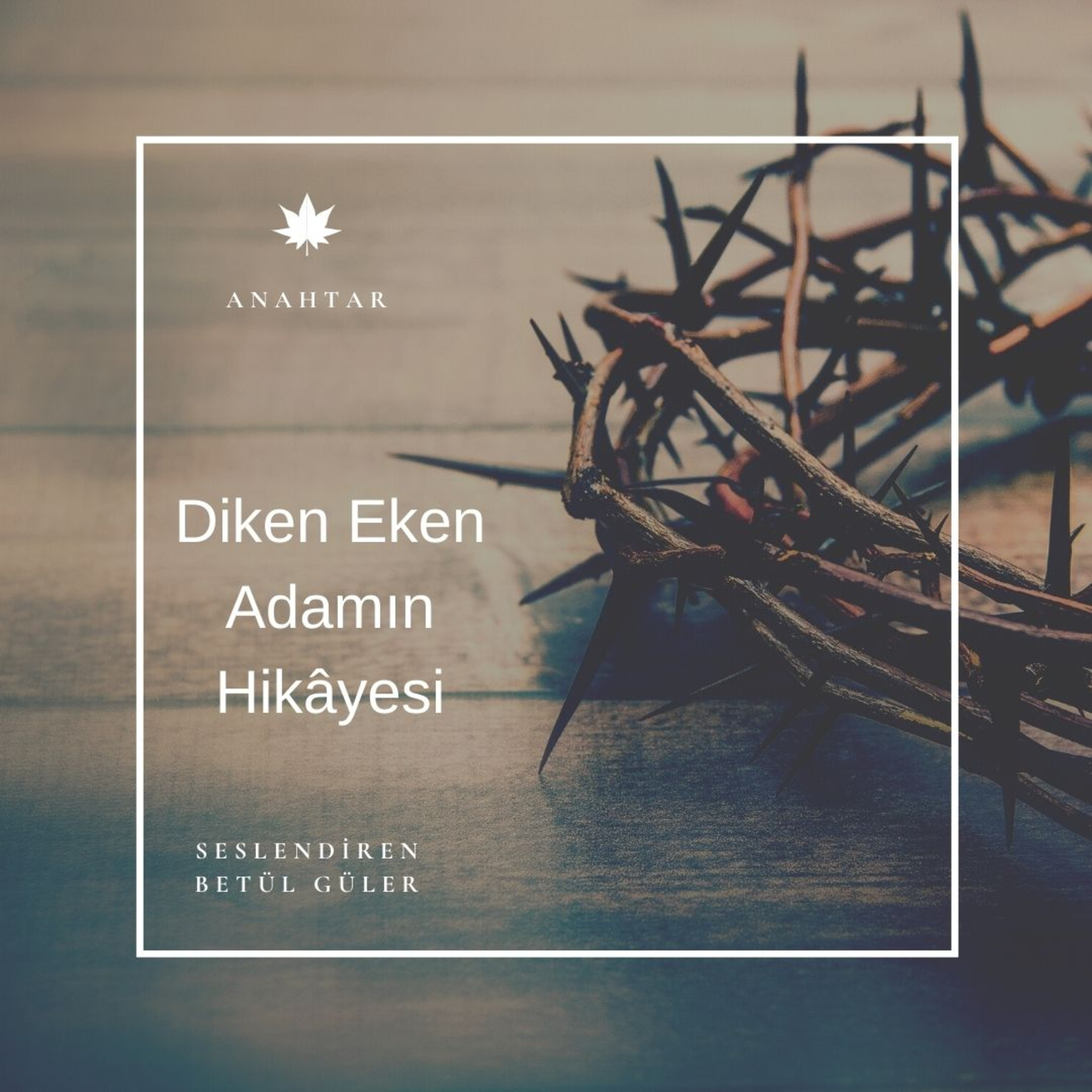 Betül Güler Sesli Kitap