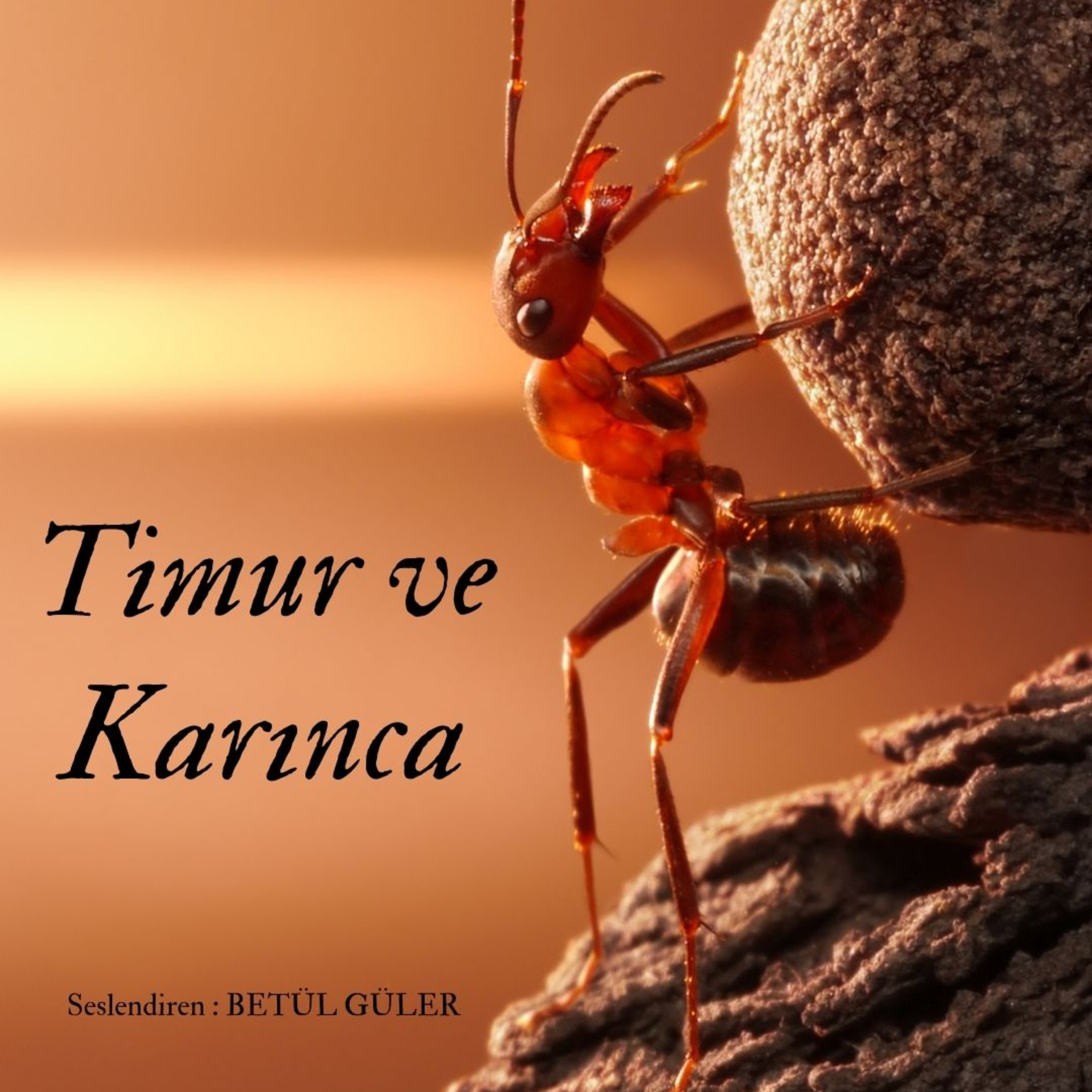 Betül Güler Sesli Kitap