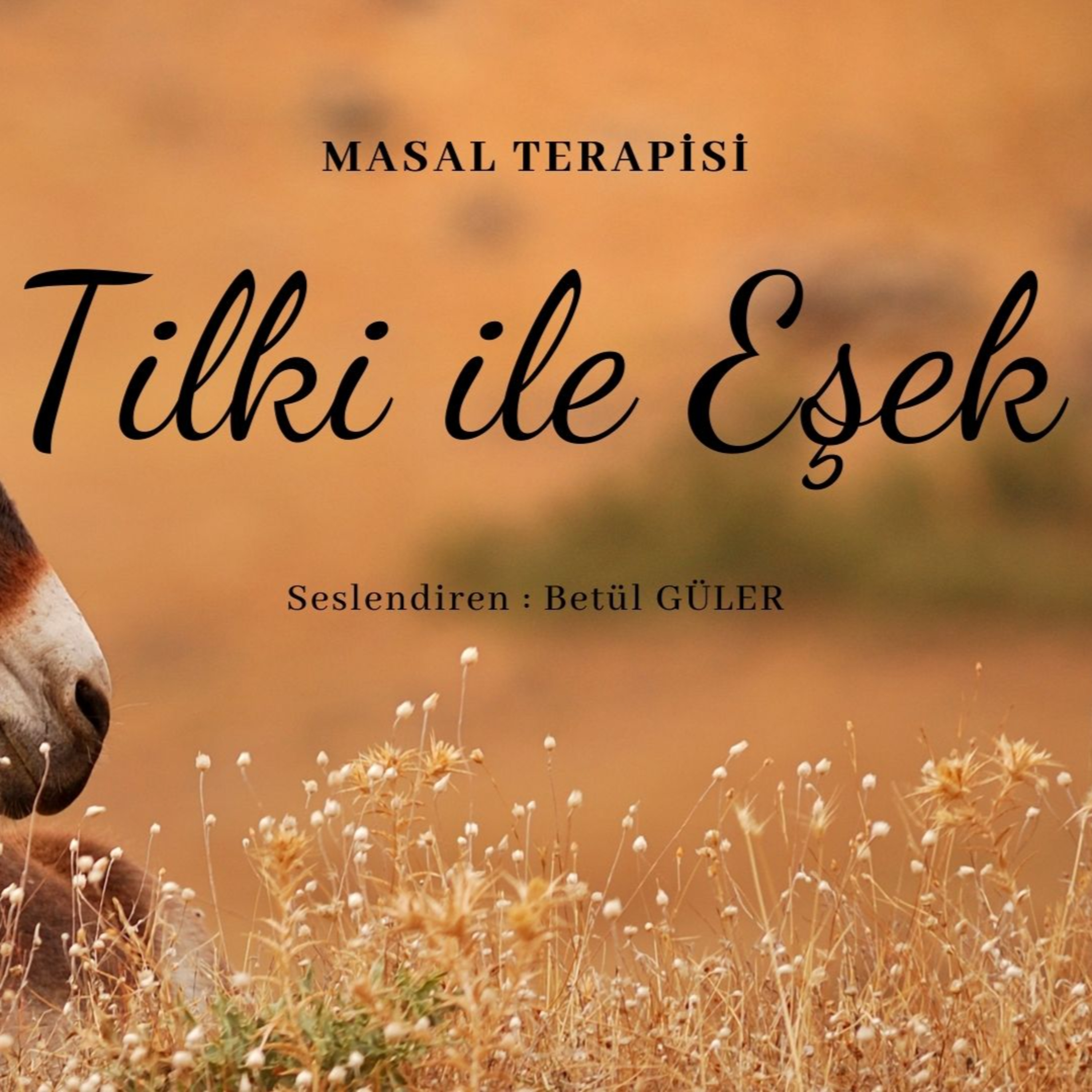 Betül Güler Sesli Kitap