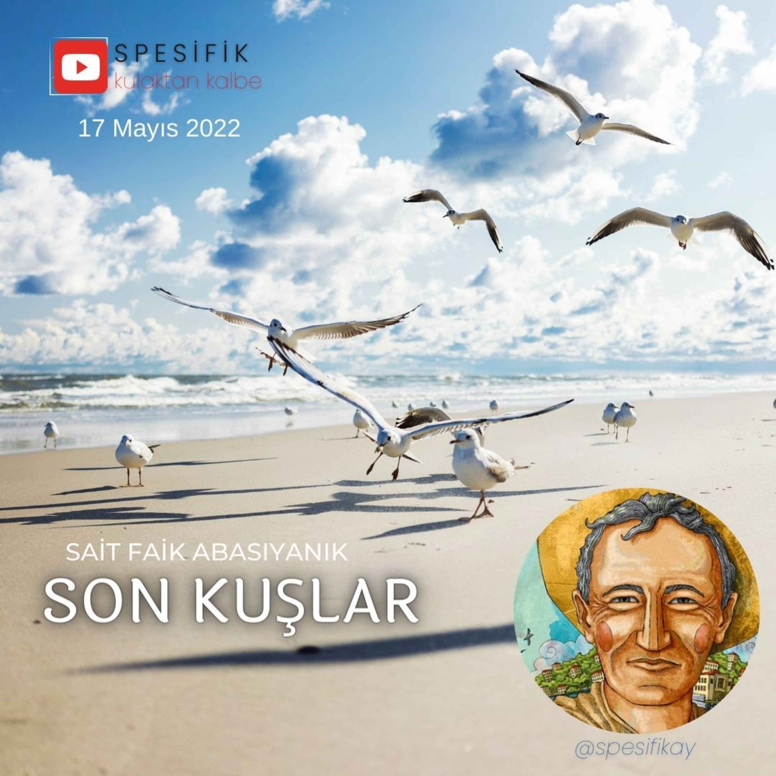 Betül Güler Sesli Kitap