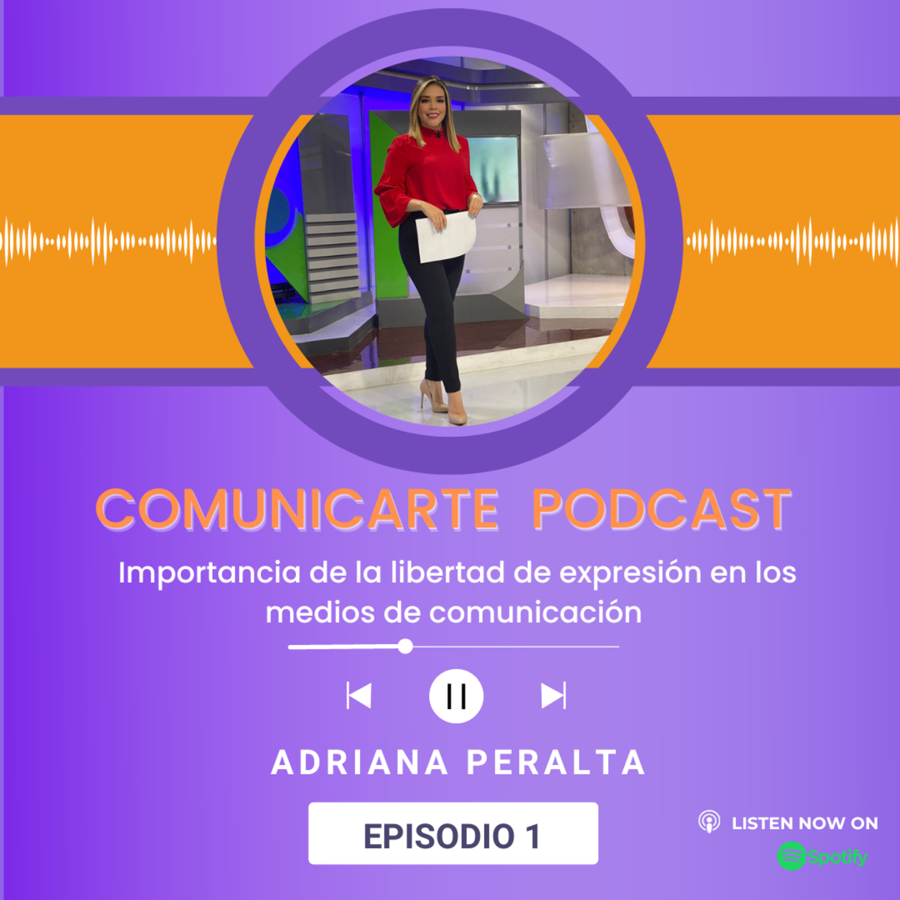 La importancia de la libertad de expresión en los medios de comunicación  episode artwork