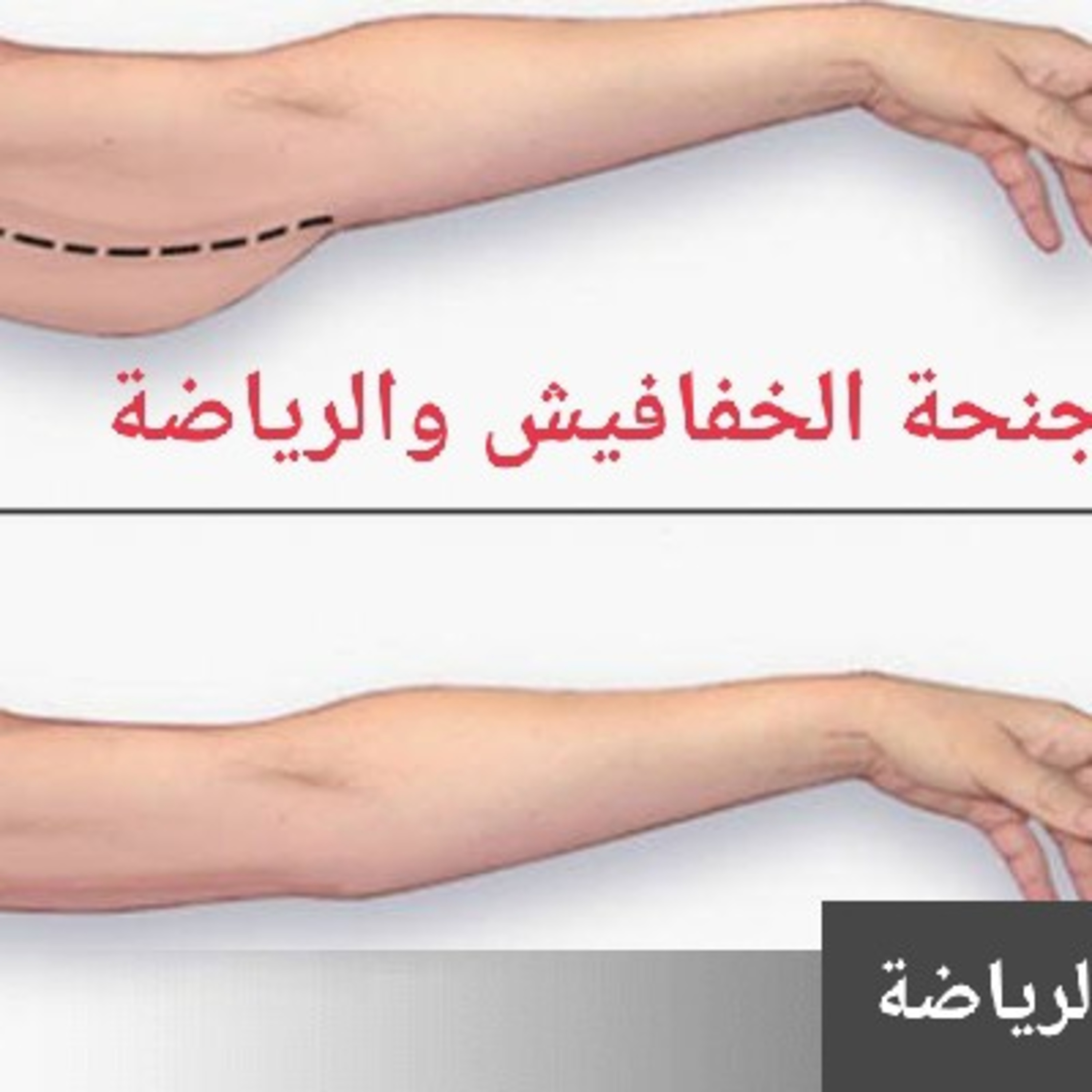 أجنحة الخفافيش والرياضة.بودكاست والرياضة