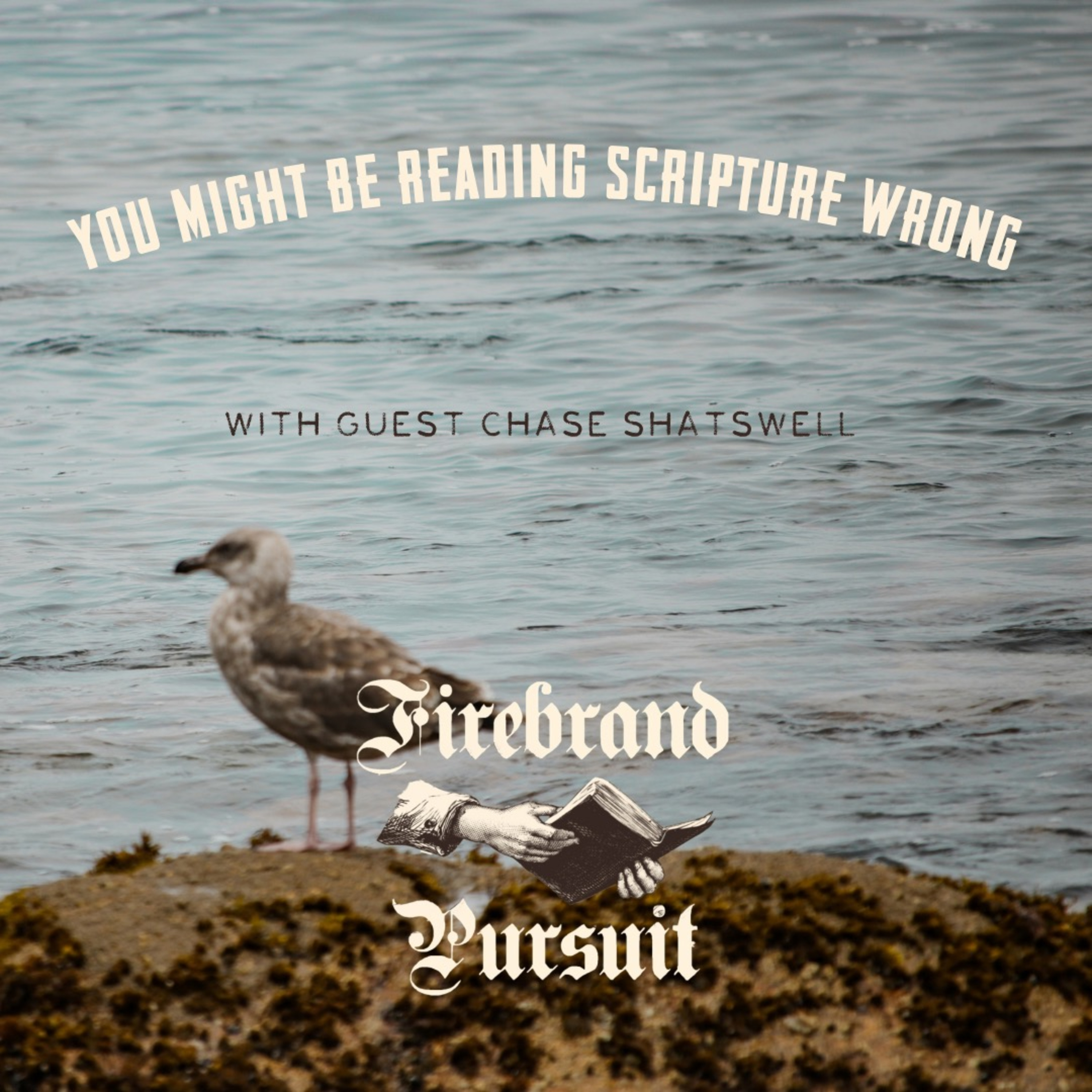 You Might Be Reading the Bible Wrong episode artwork
