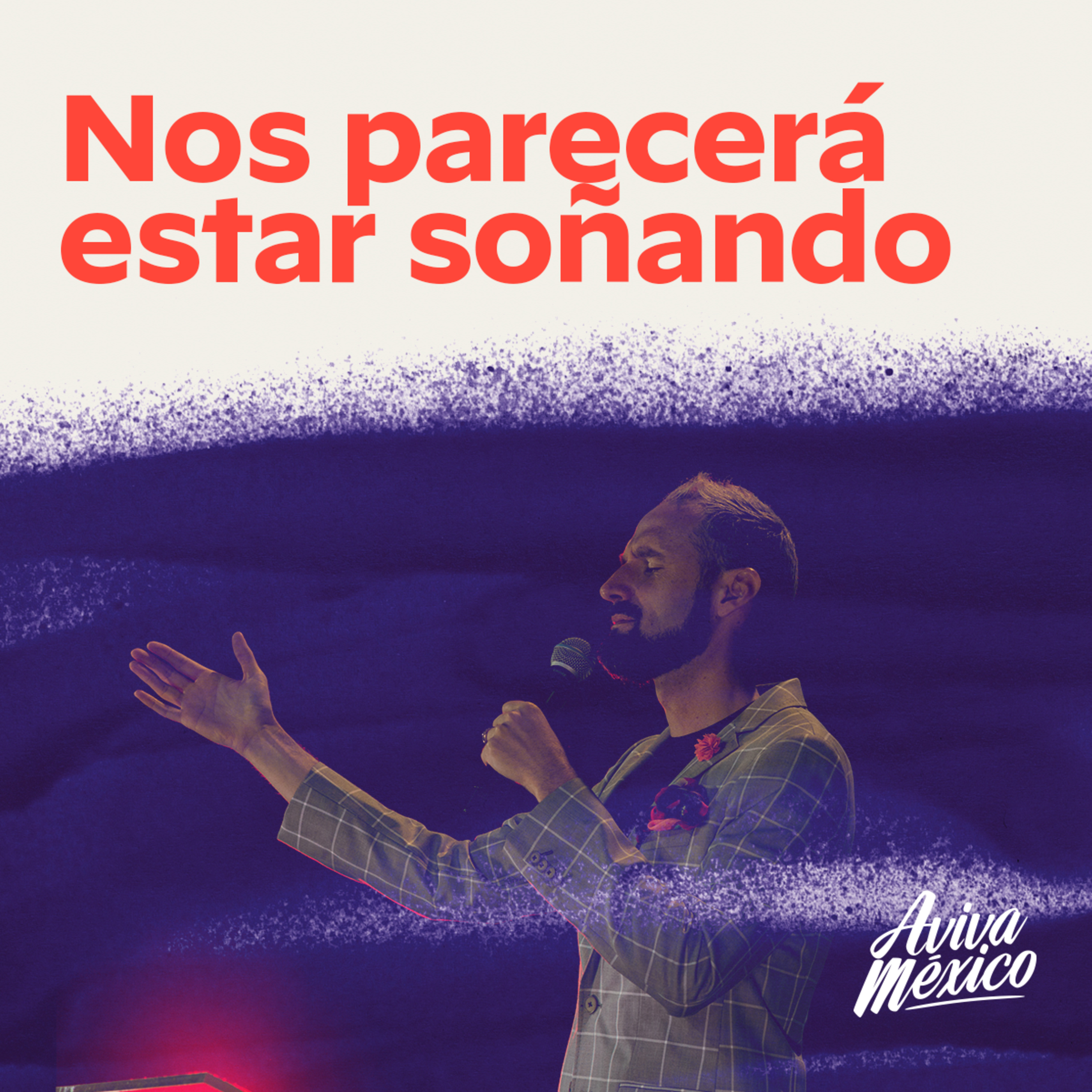 ¡Nos Parecerá Estar Soñando! episode artwork