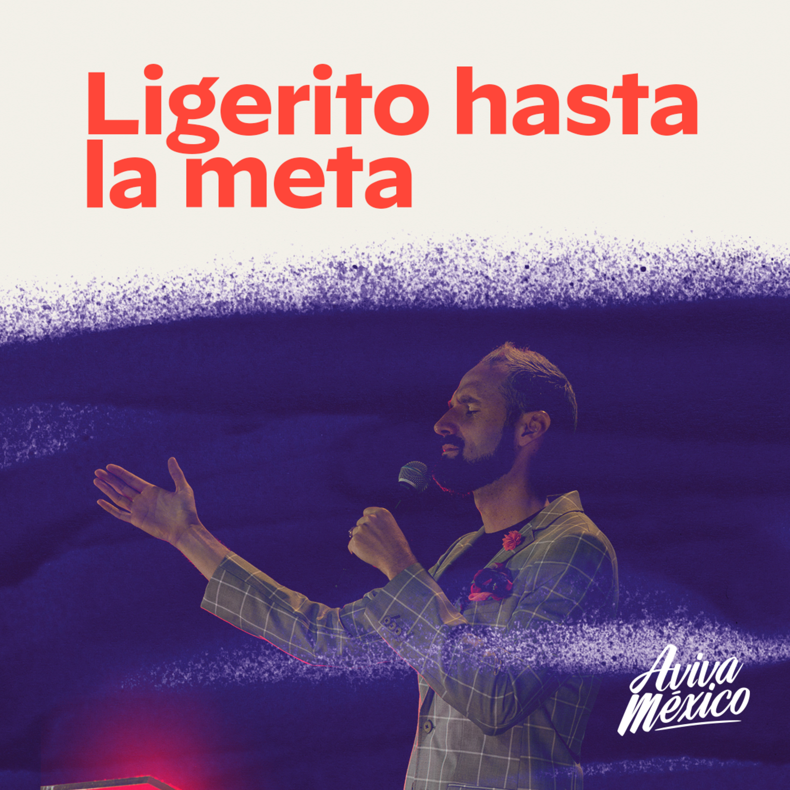Ligerito Hasta la Meta episode artwork