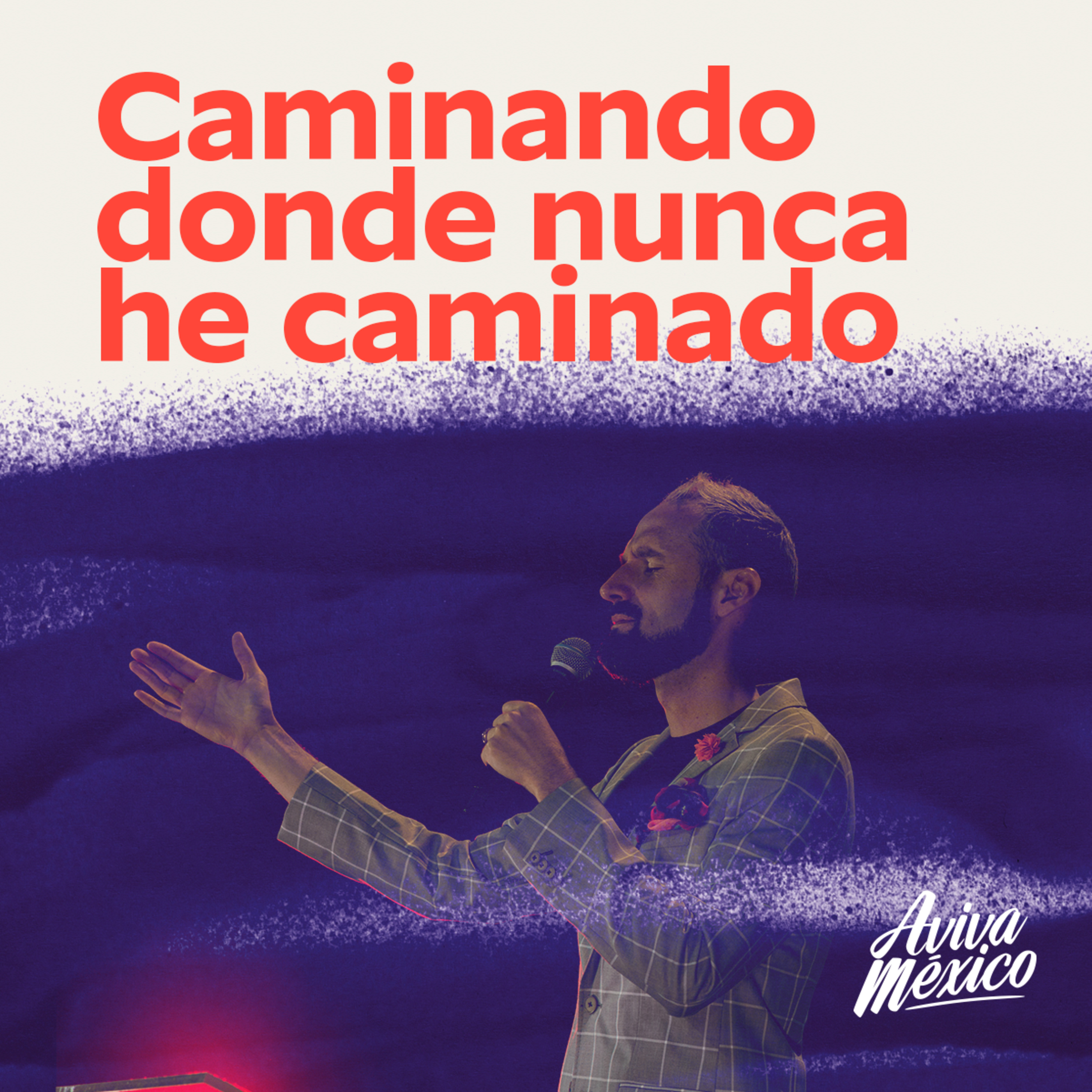 Caminando donde nunca he caminado episode artwork