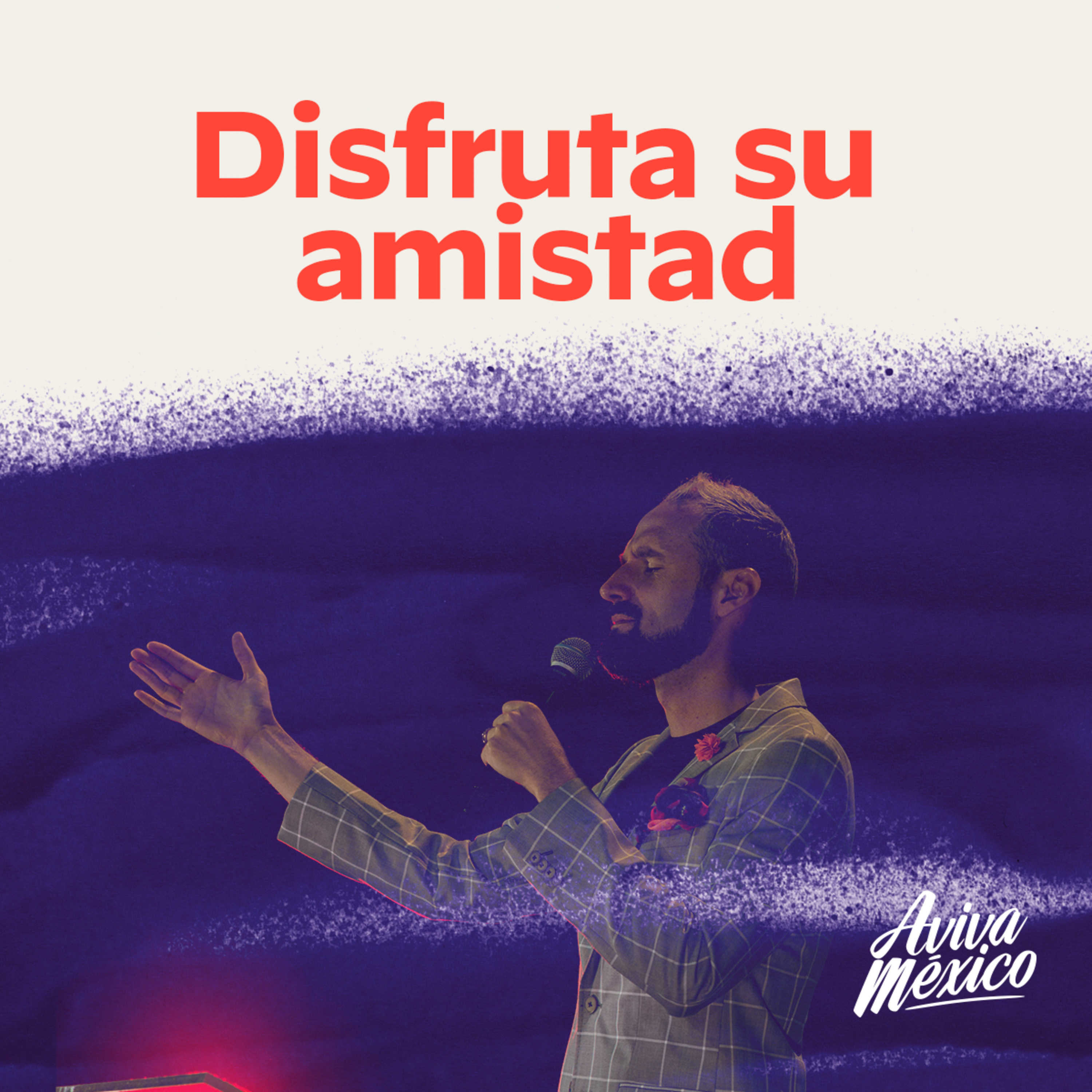 Disfruta su amistad episode artwork