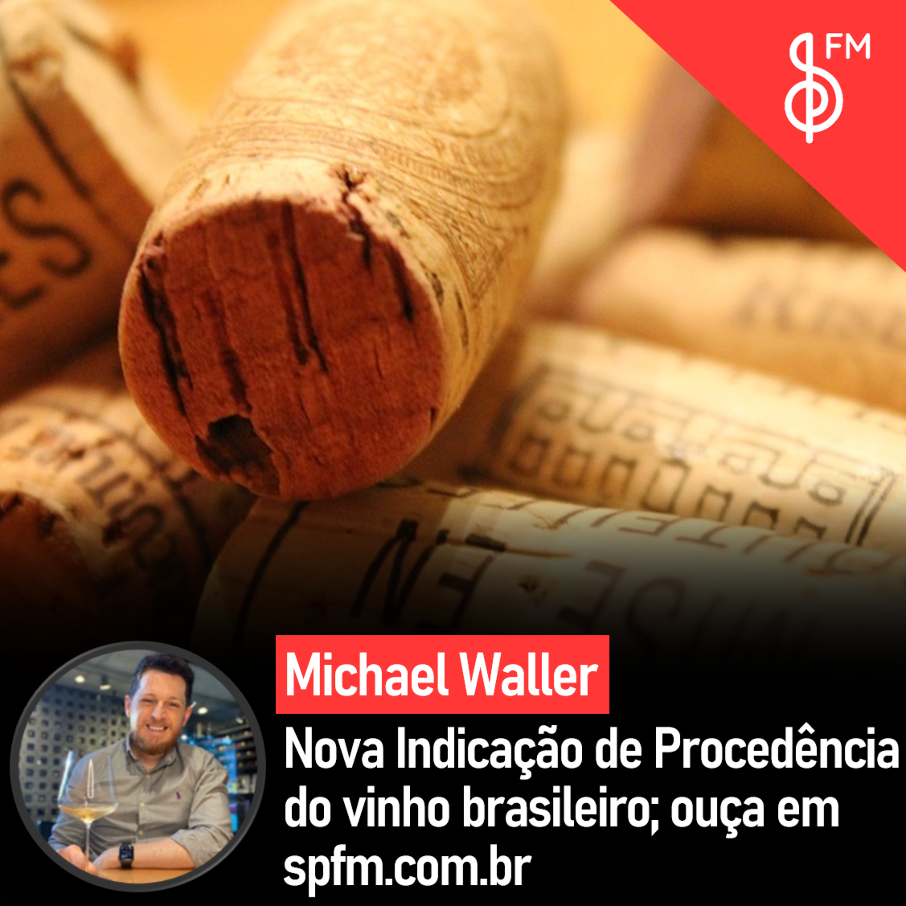 Michael Waller | Nova Indicação de Procedência do vinho brasileiro! episode artwork