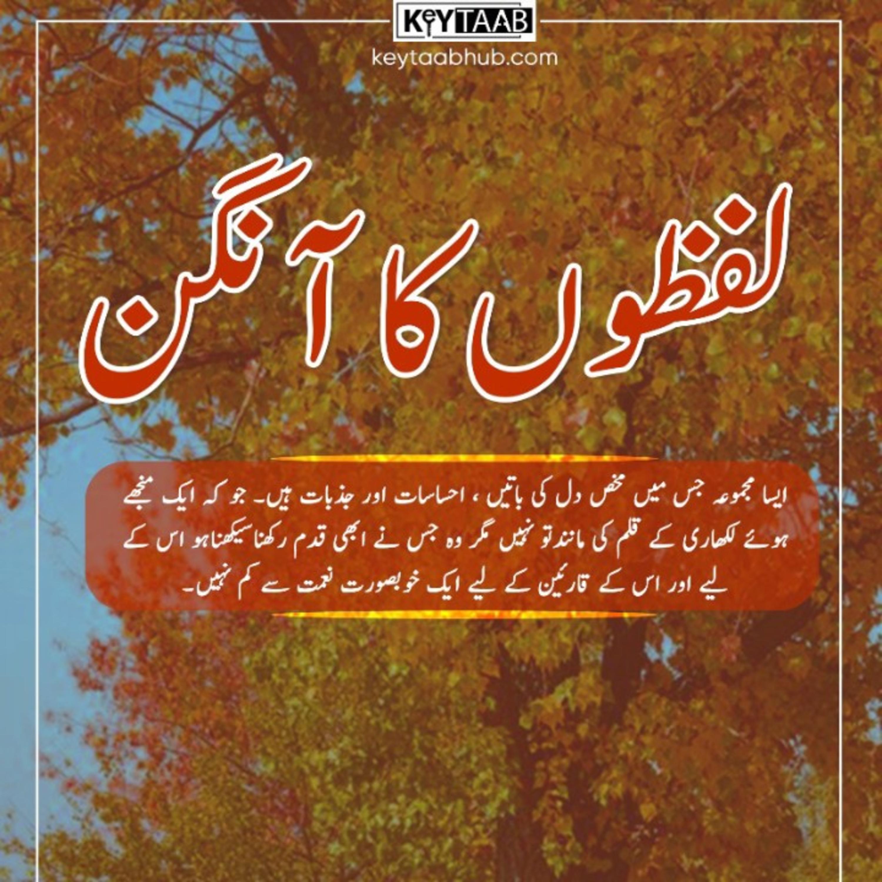 Lafzoun ka Angan  episode artwork