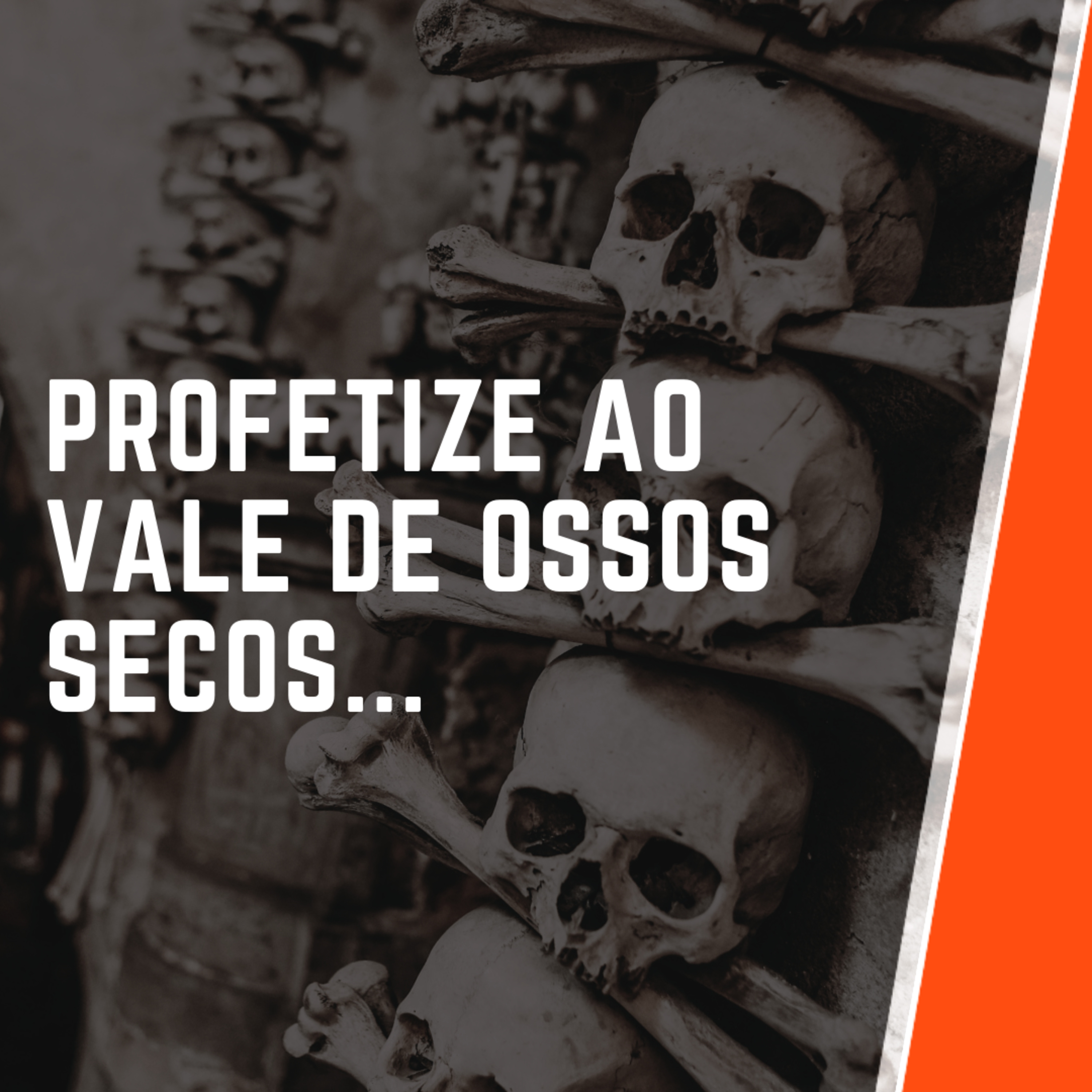 PODER DA PALAVRA