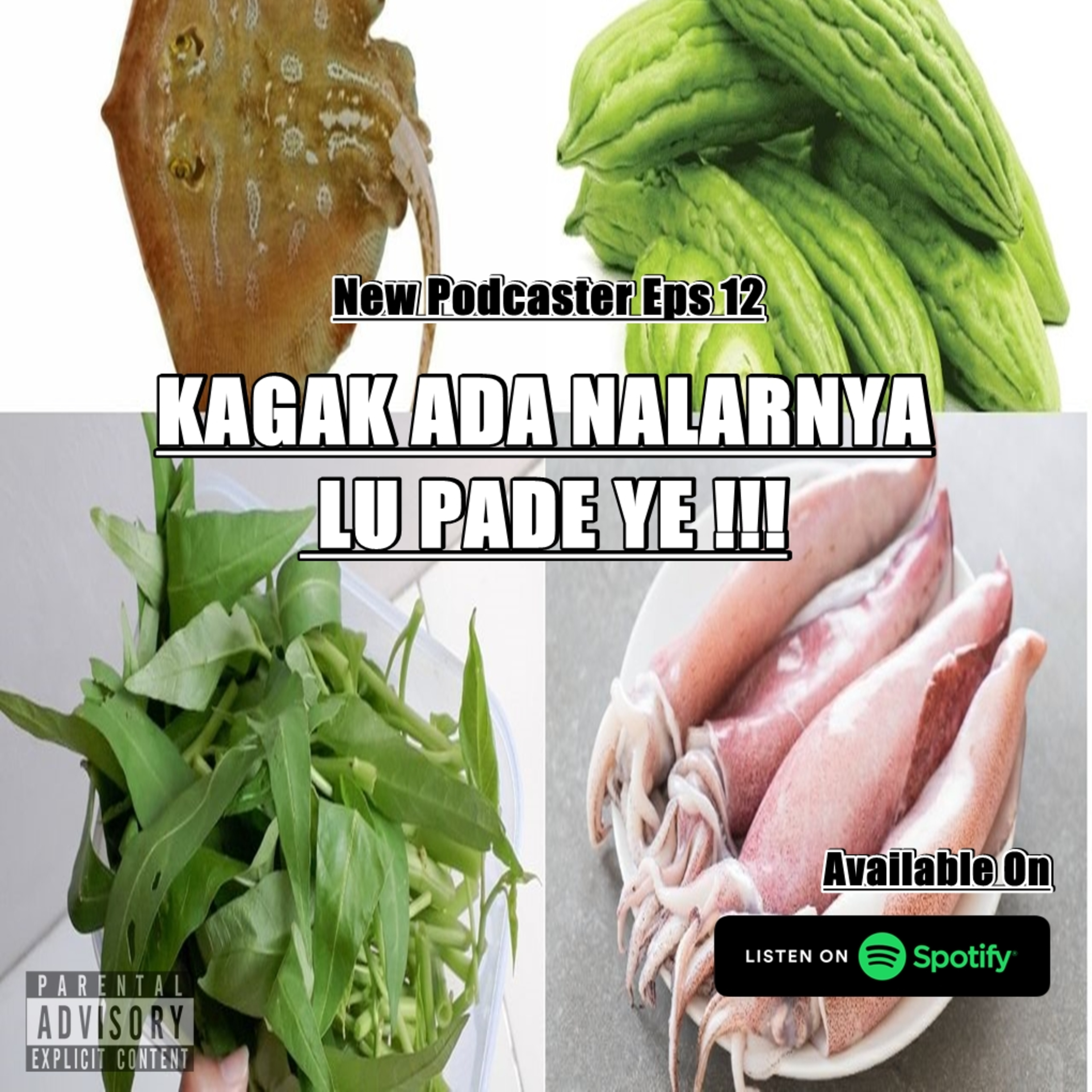 New Podcaster