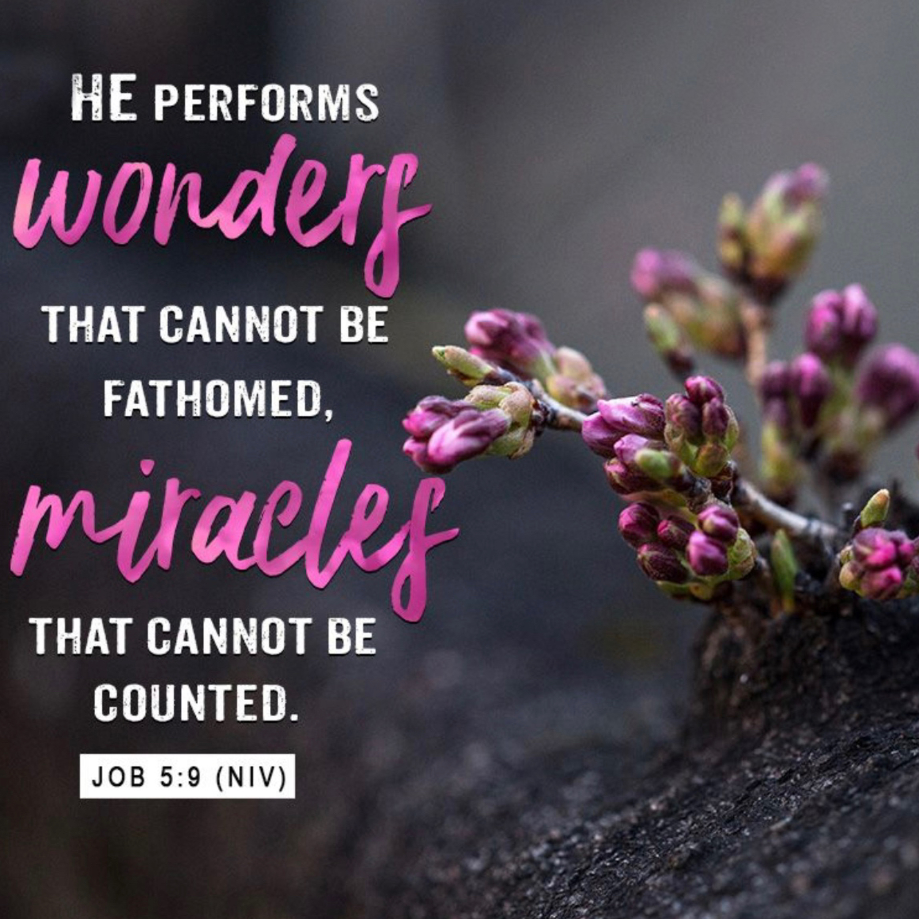 Jackie’s Podcast. Phil 4:13