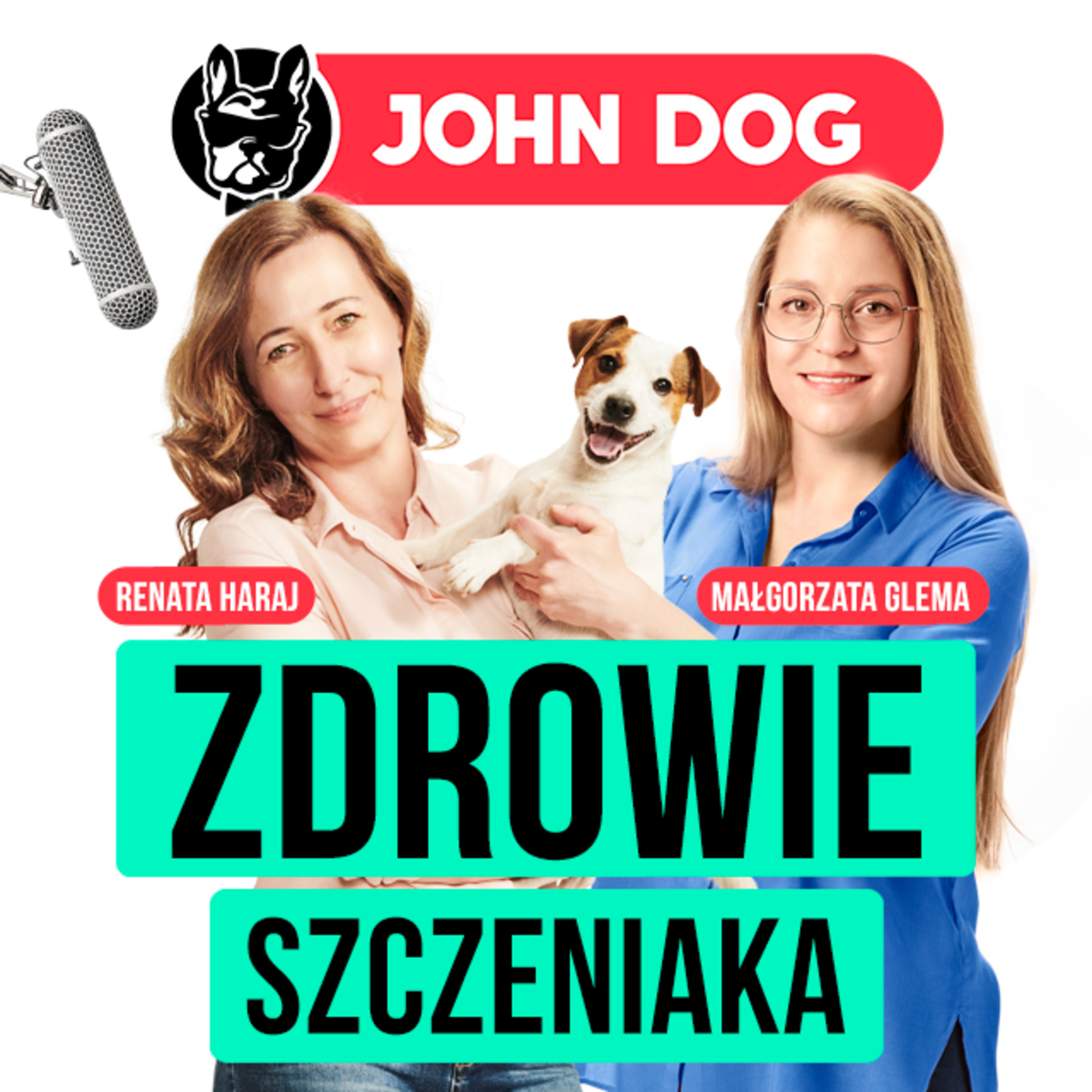 Eksperci o psach i kotach