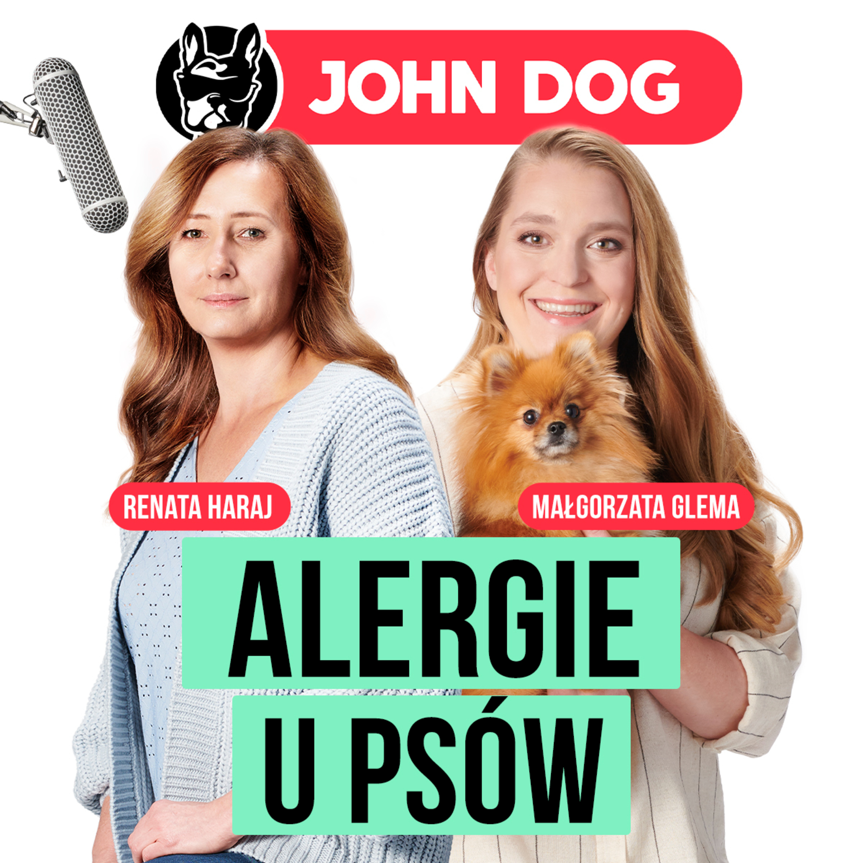 Eksperci o psach i kotach