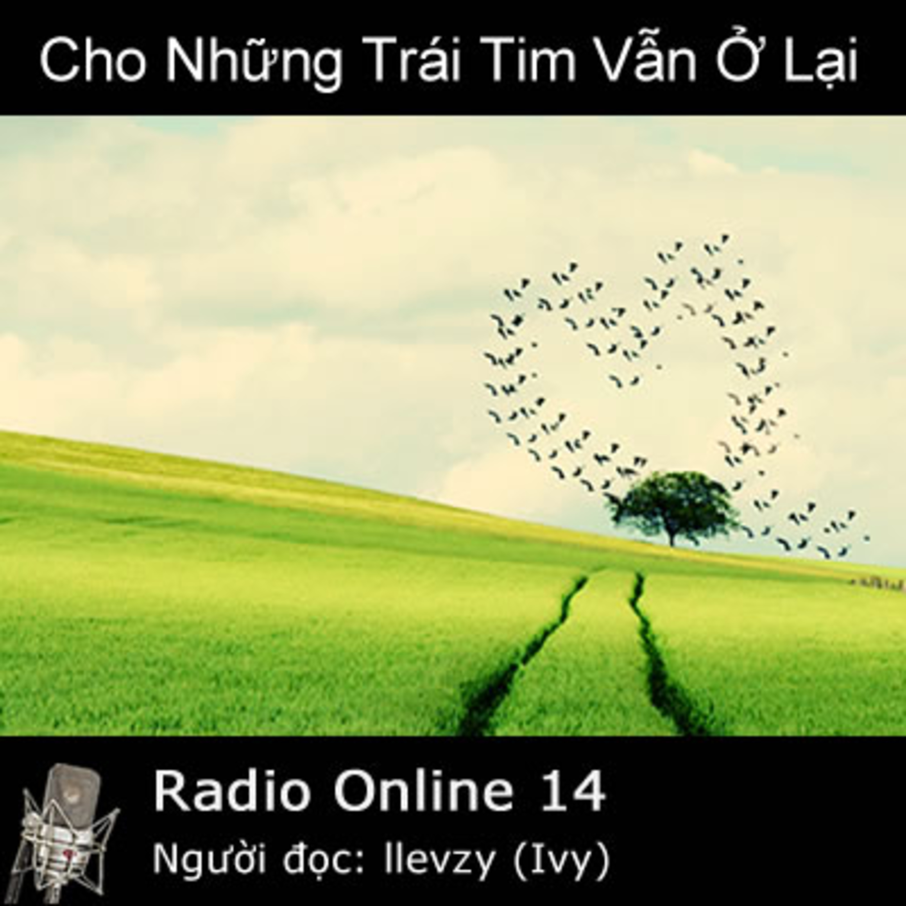 Nu DOP Radio