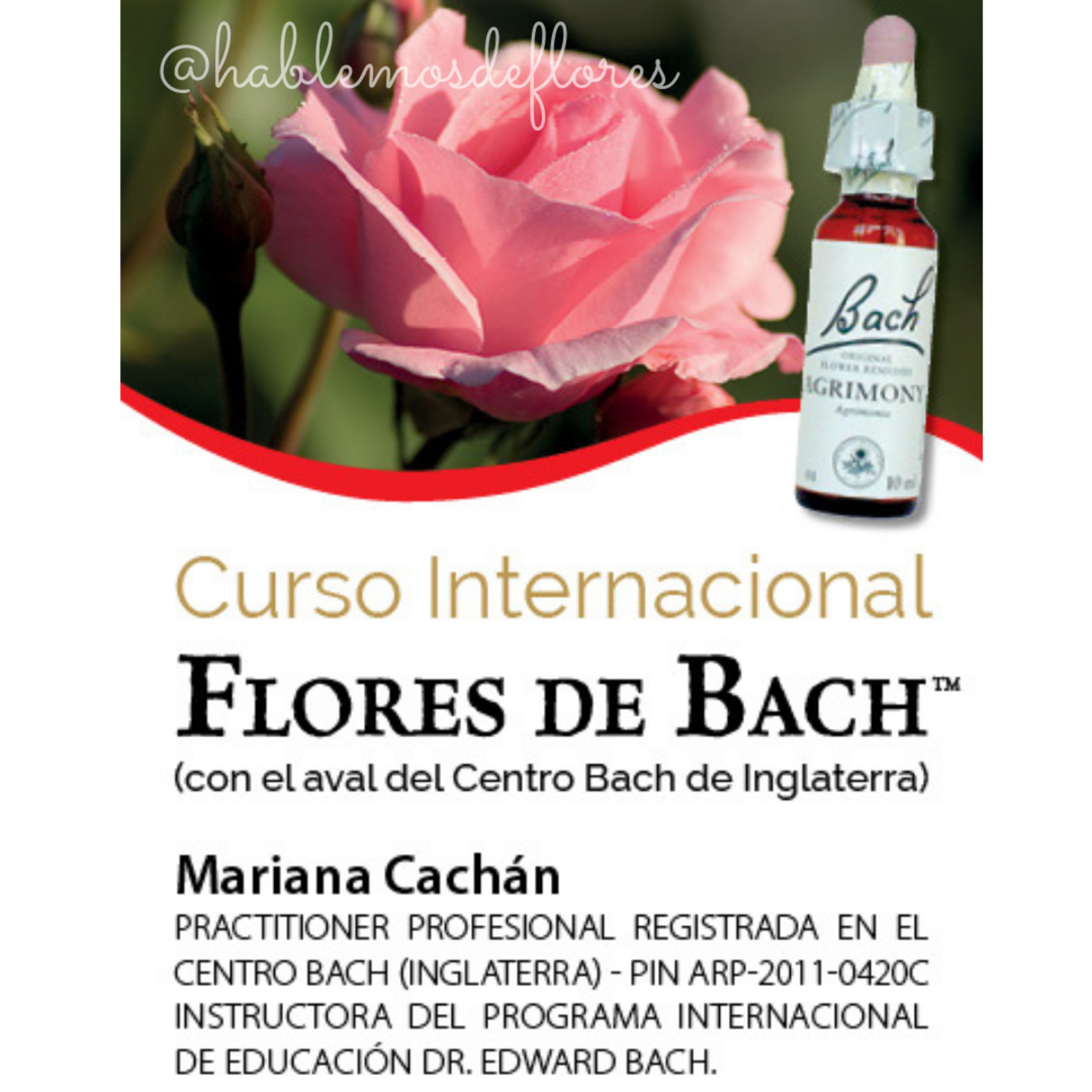 Programa Internacional de Formación en Flores de Bach 🌿 episode artwork