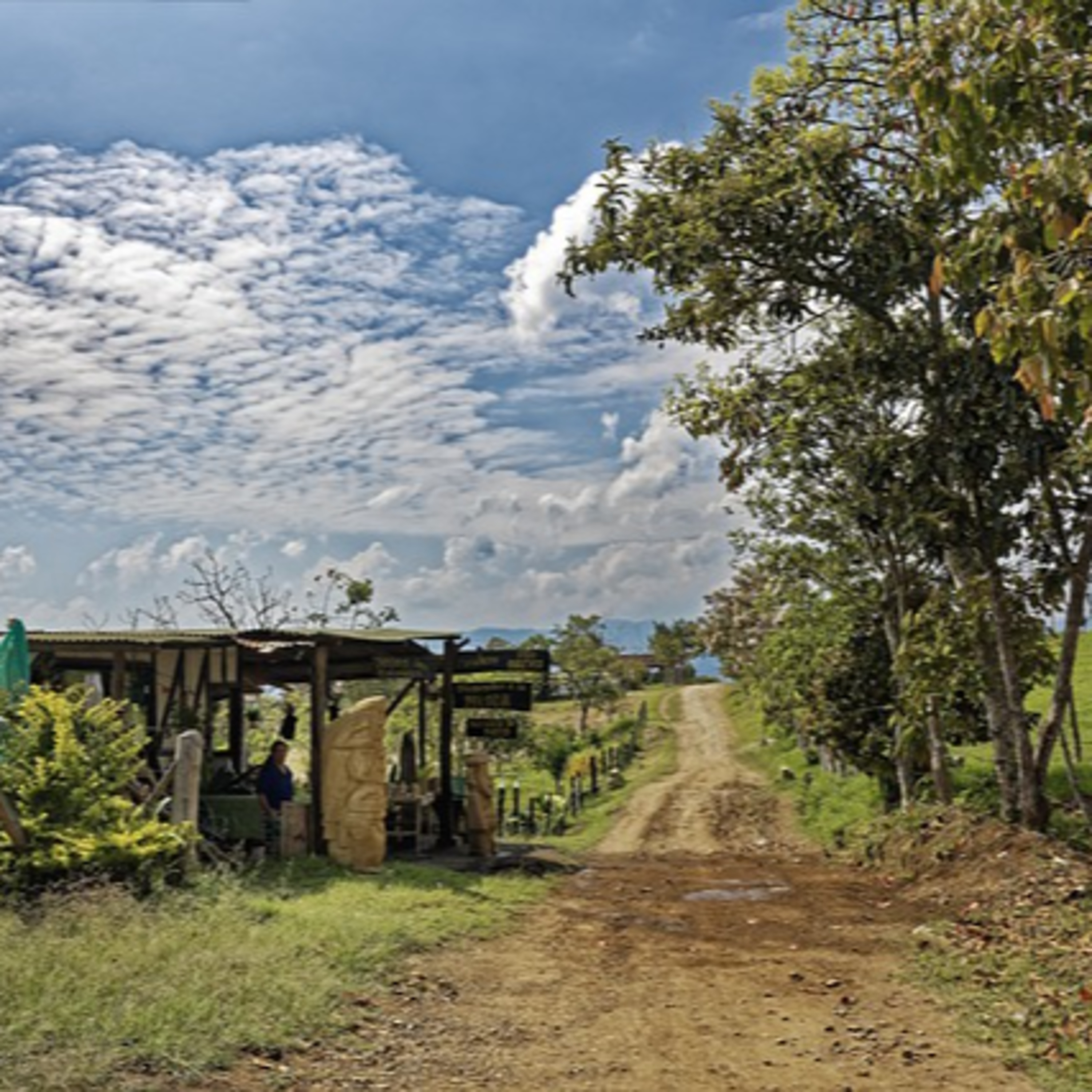 Espera de Argos
