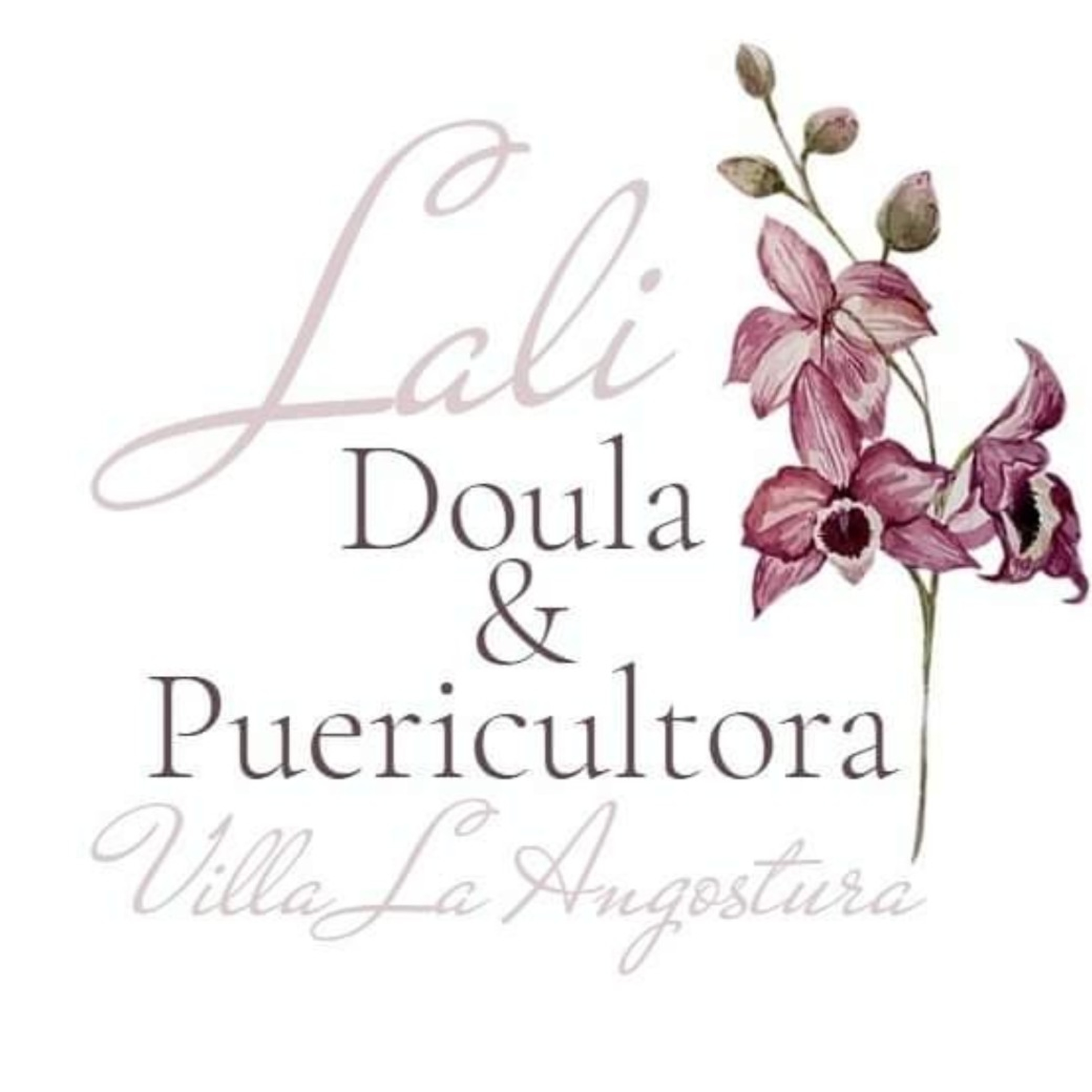 Portada de Lali Doula Y Puericultora