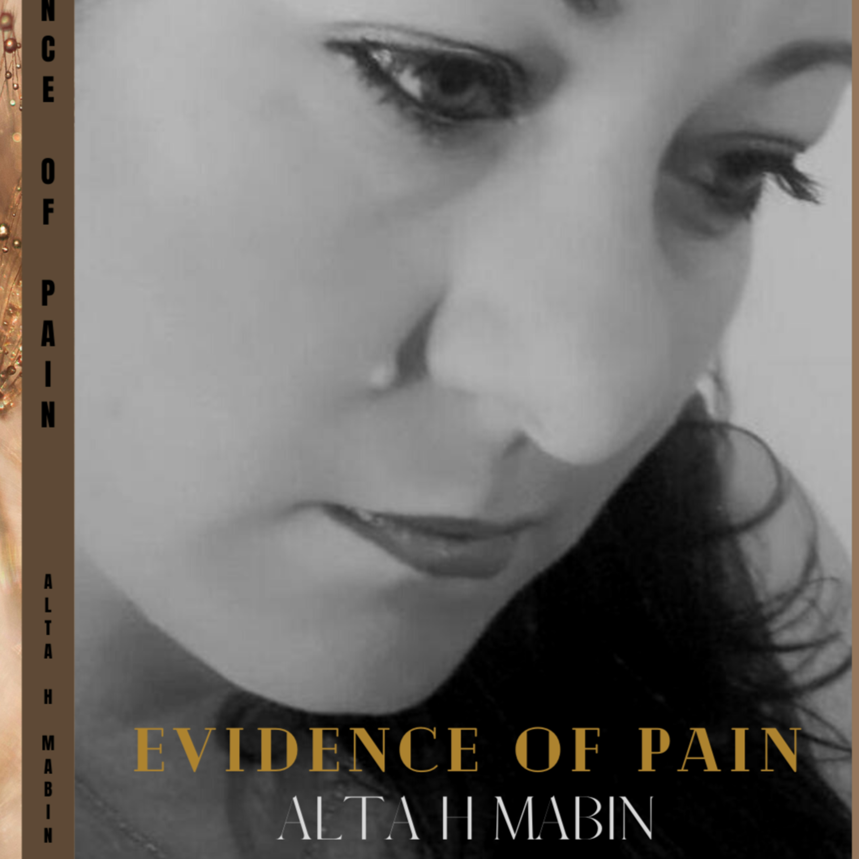 Evidence Of Pain - Alta H Mabin