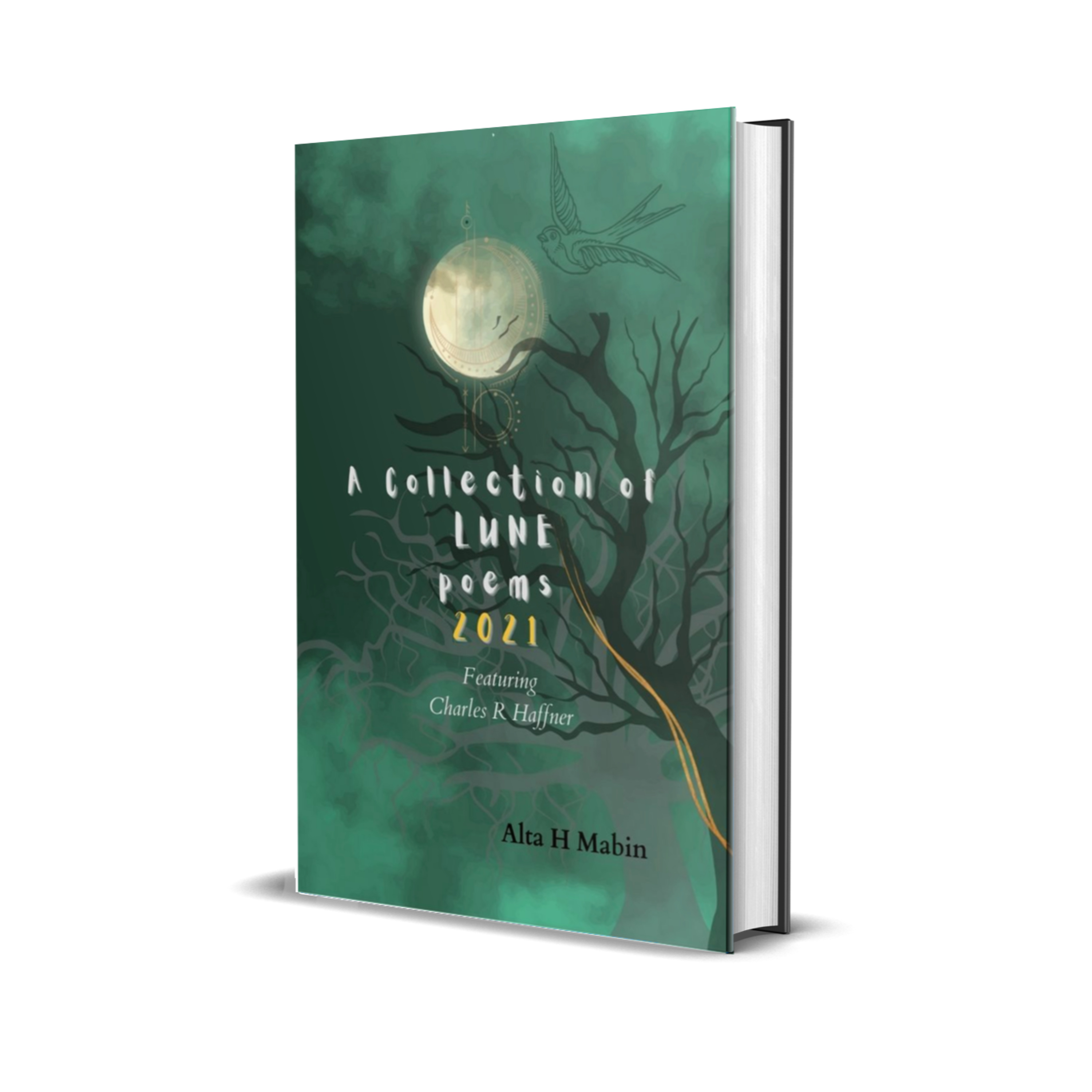 A collection of Lune poems 2021: American Haiku - Narrated by CHARLES R HAFFNER (AUTHOR - AMAZON.COM) episode artwork