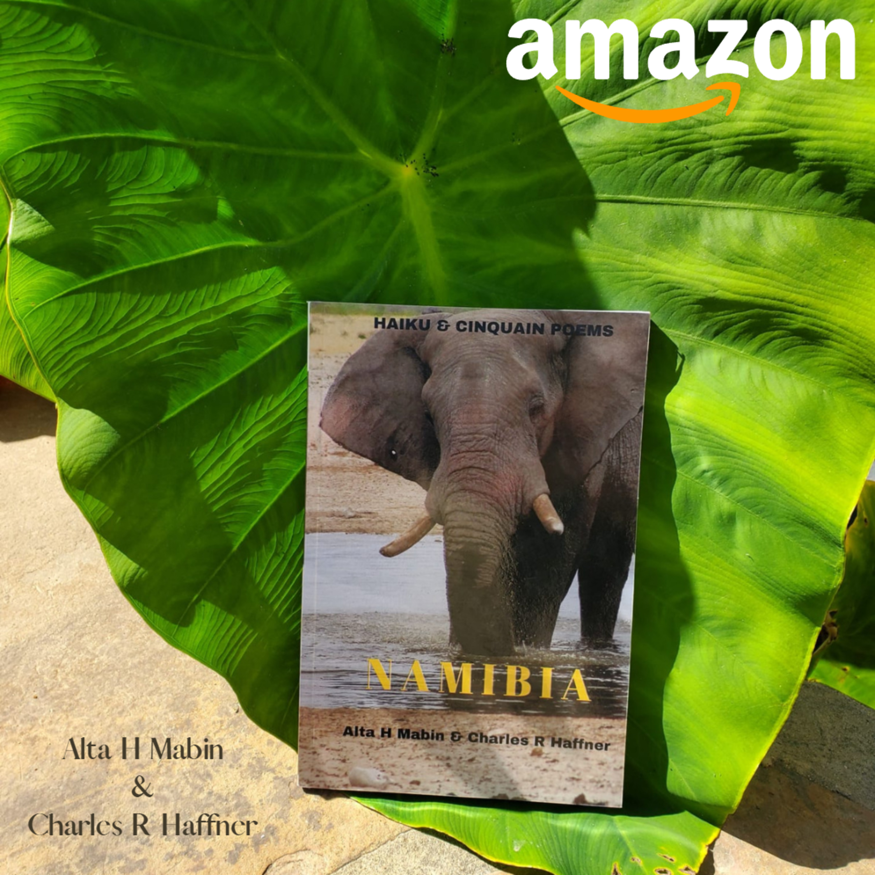Namibia - By Charles R Haffner & Alta H Mabin episode artwork