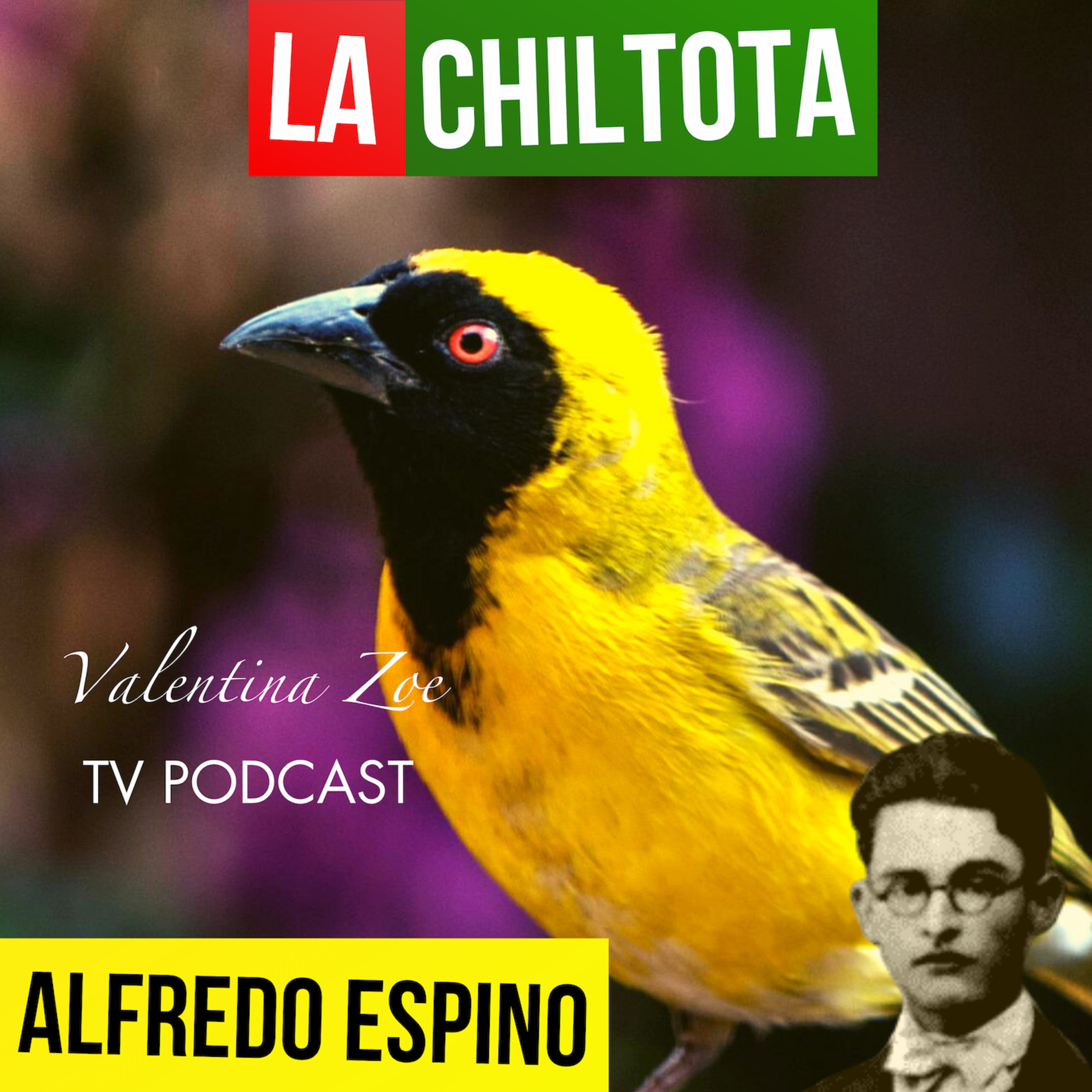 La Mochila Poética | Valentina Zoe 📜