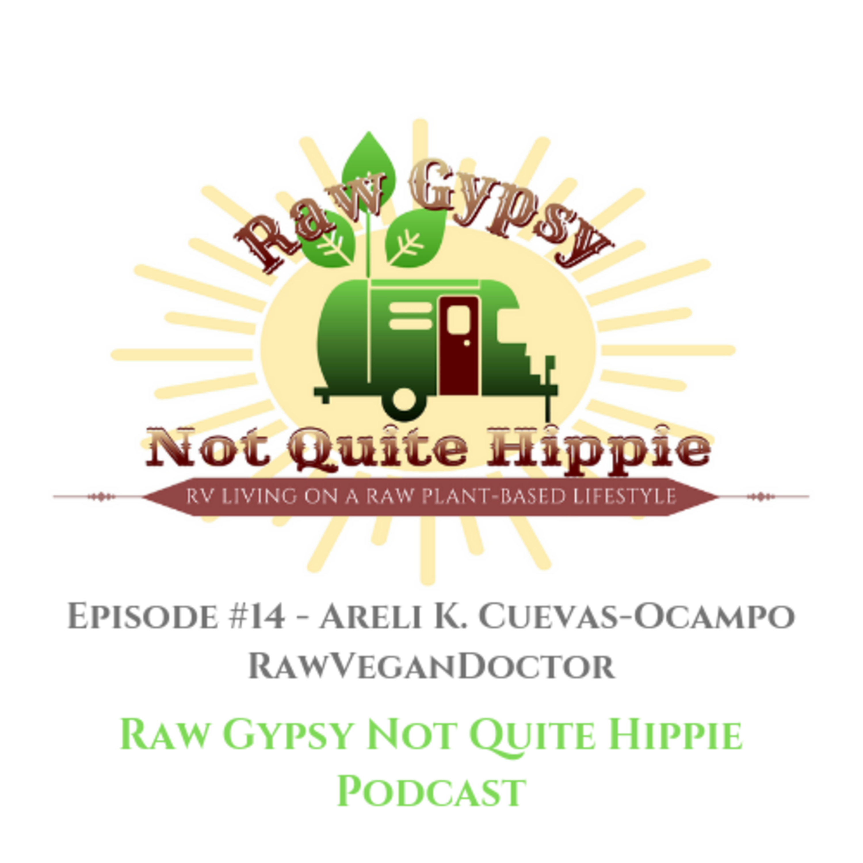 Raw Gypsy Not Quite Hippie