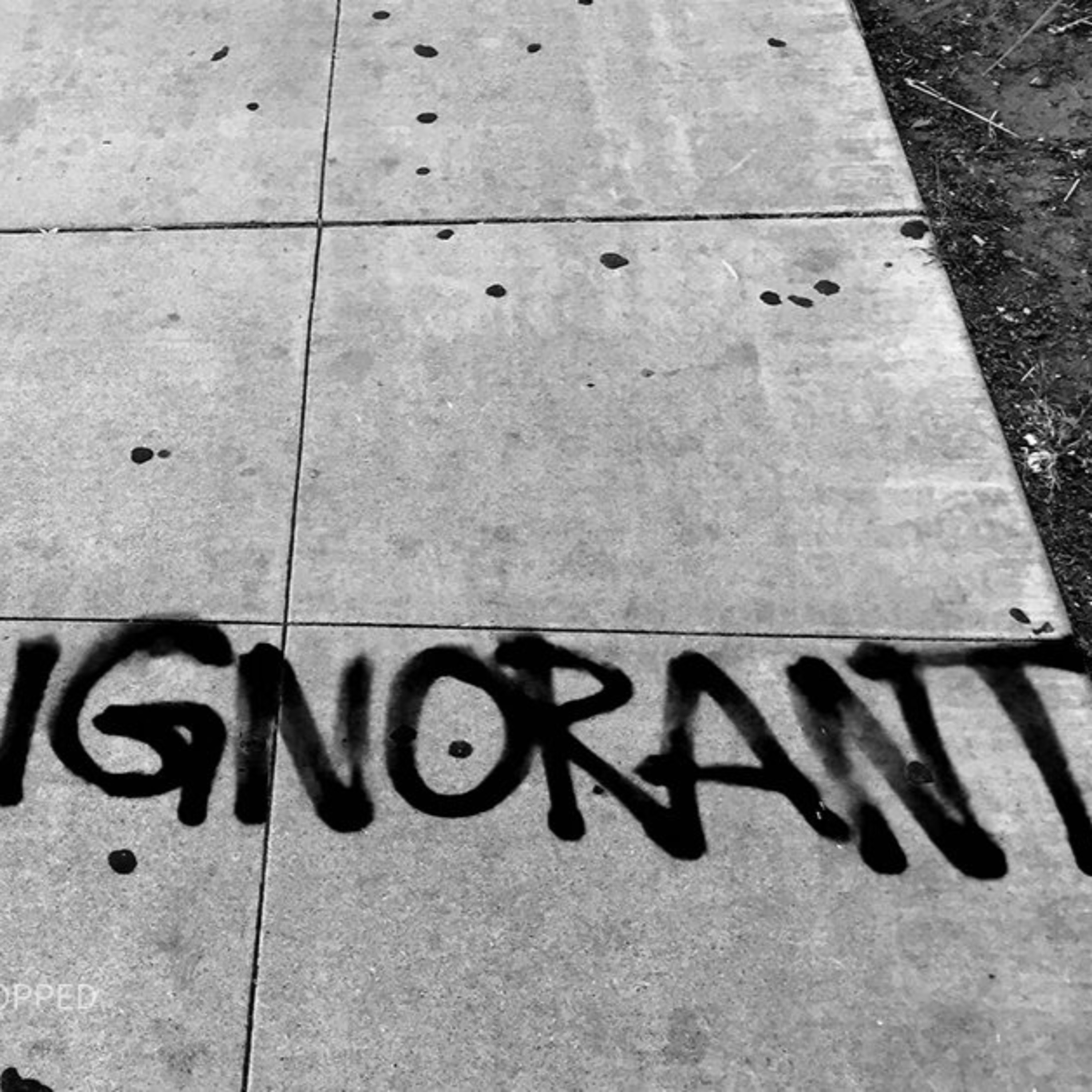 Black Ignorance
