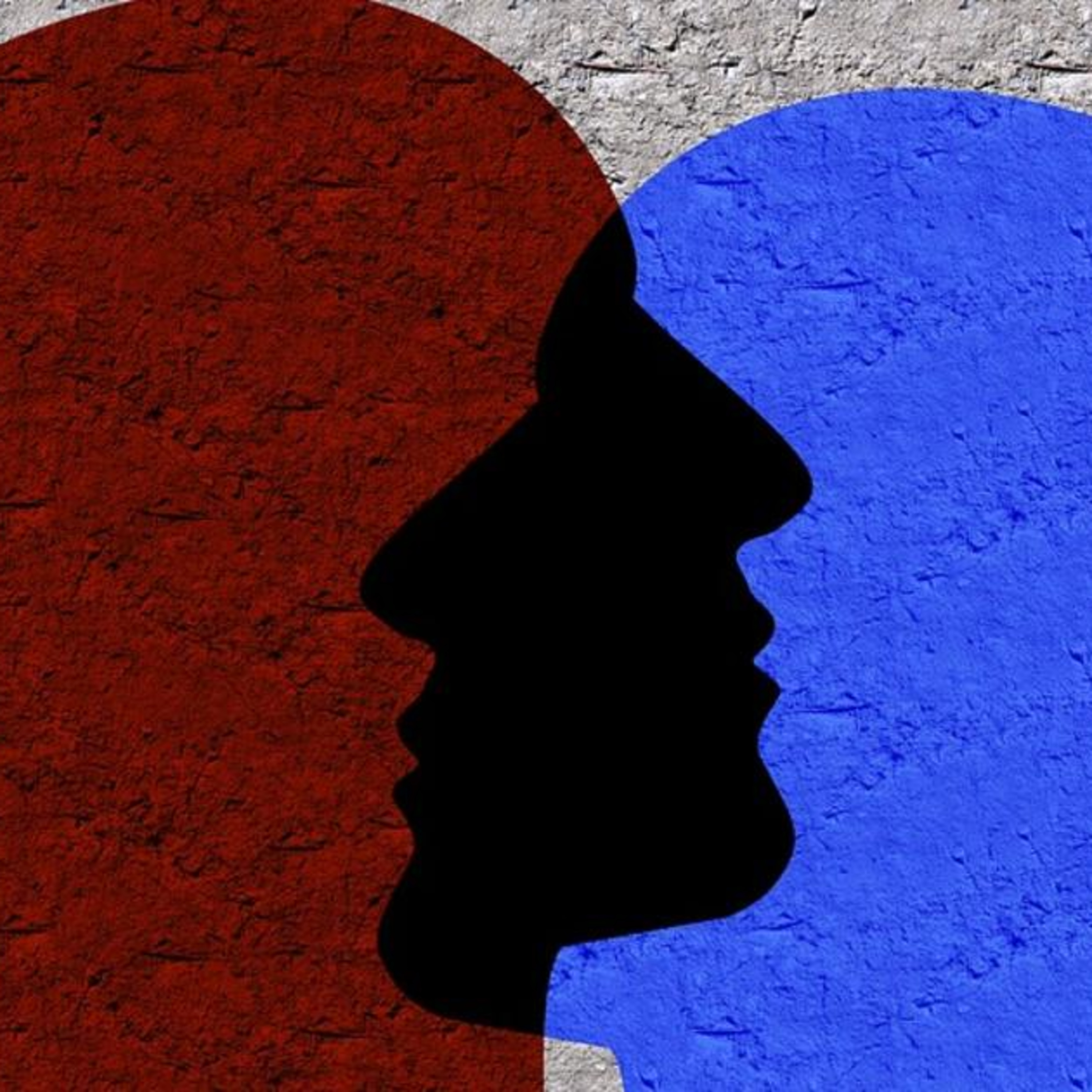 The Mental Civil War