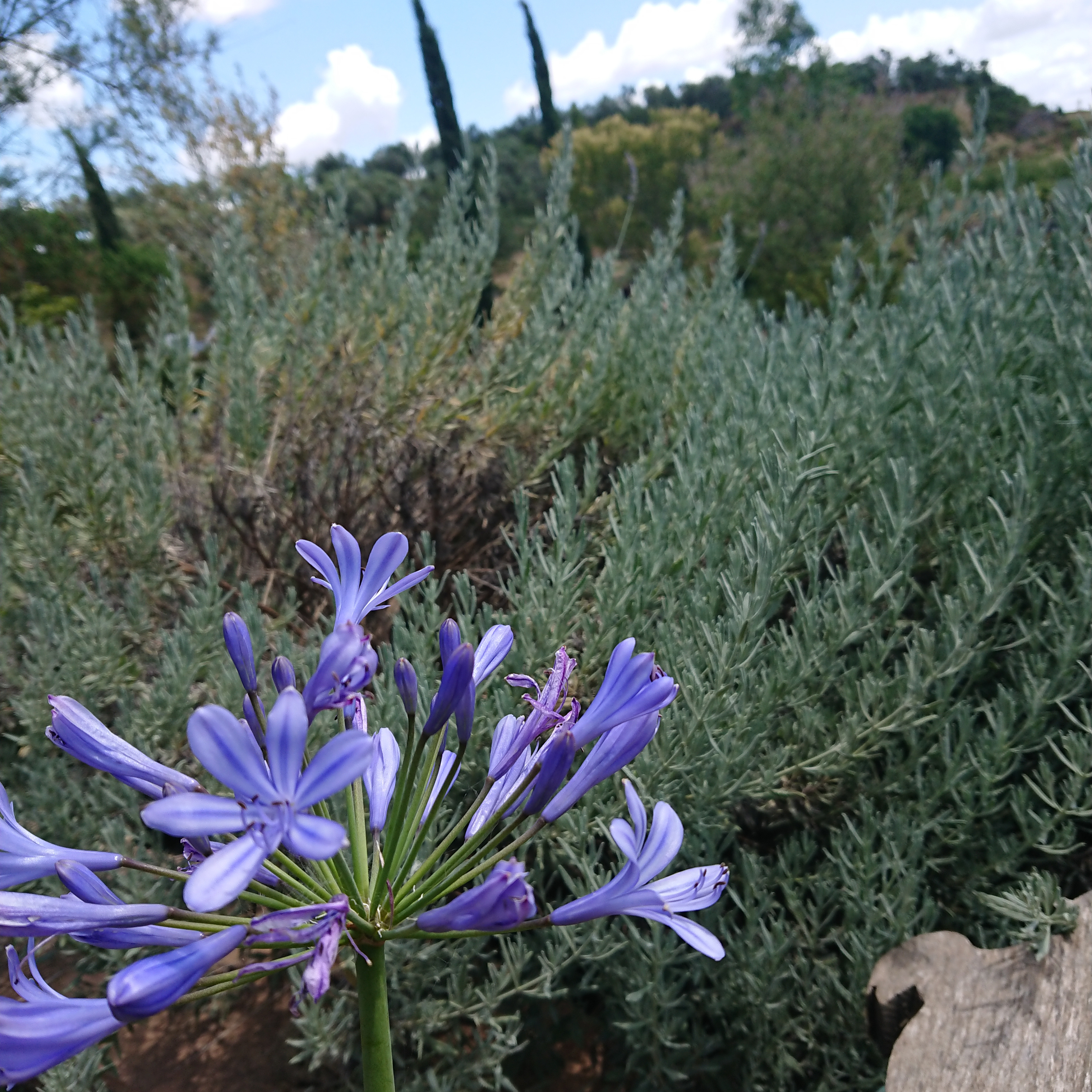 fühl_ich - JugendTALK