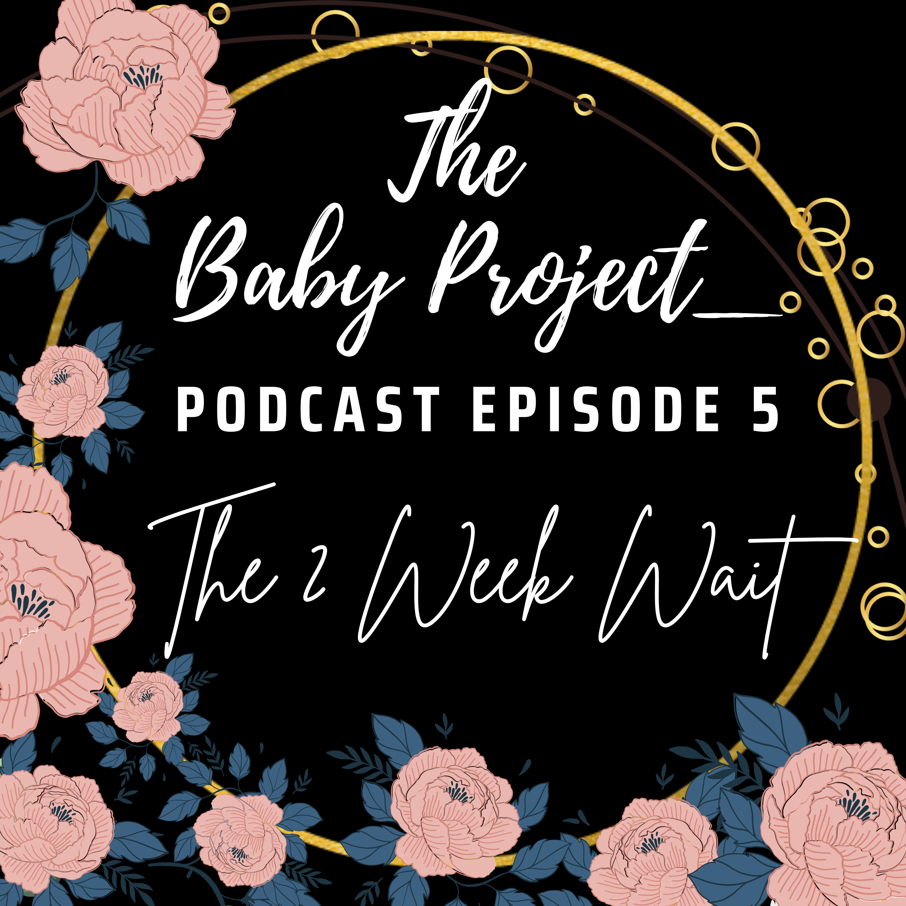 [Infertility] E5: The 2 Week Wait episode artwork