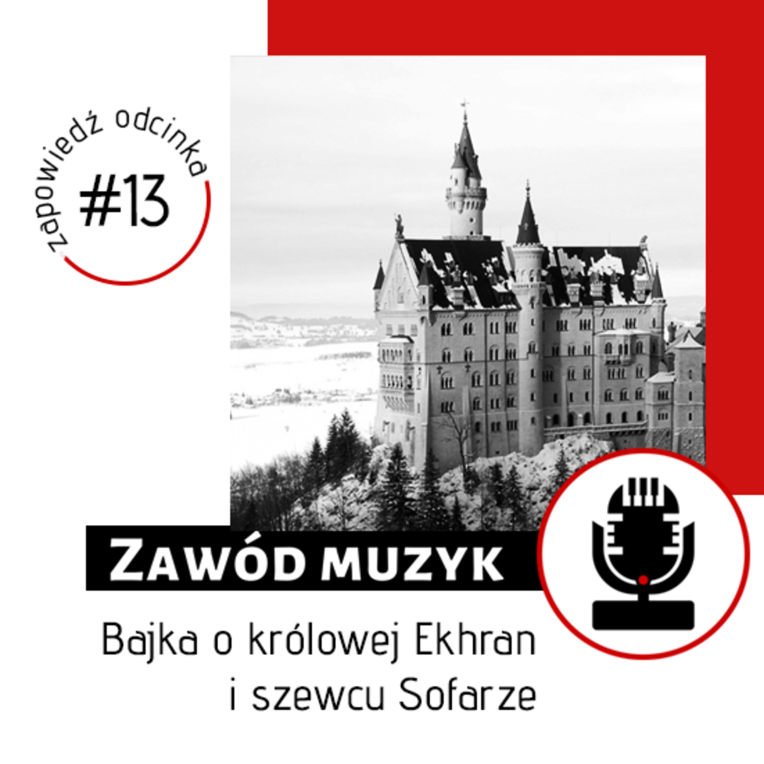 Zawód muzyk