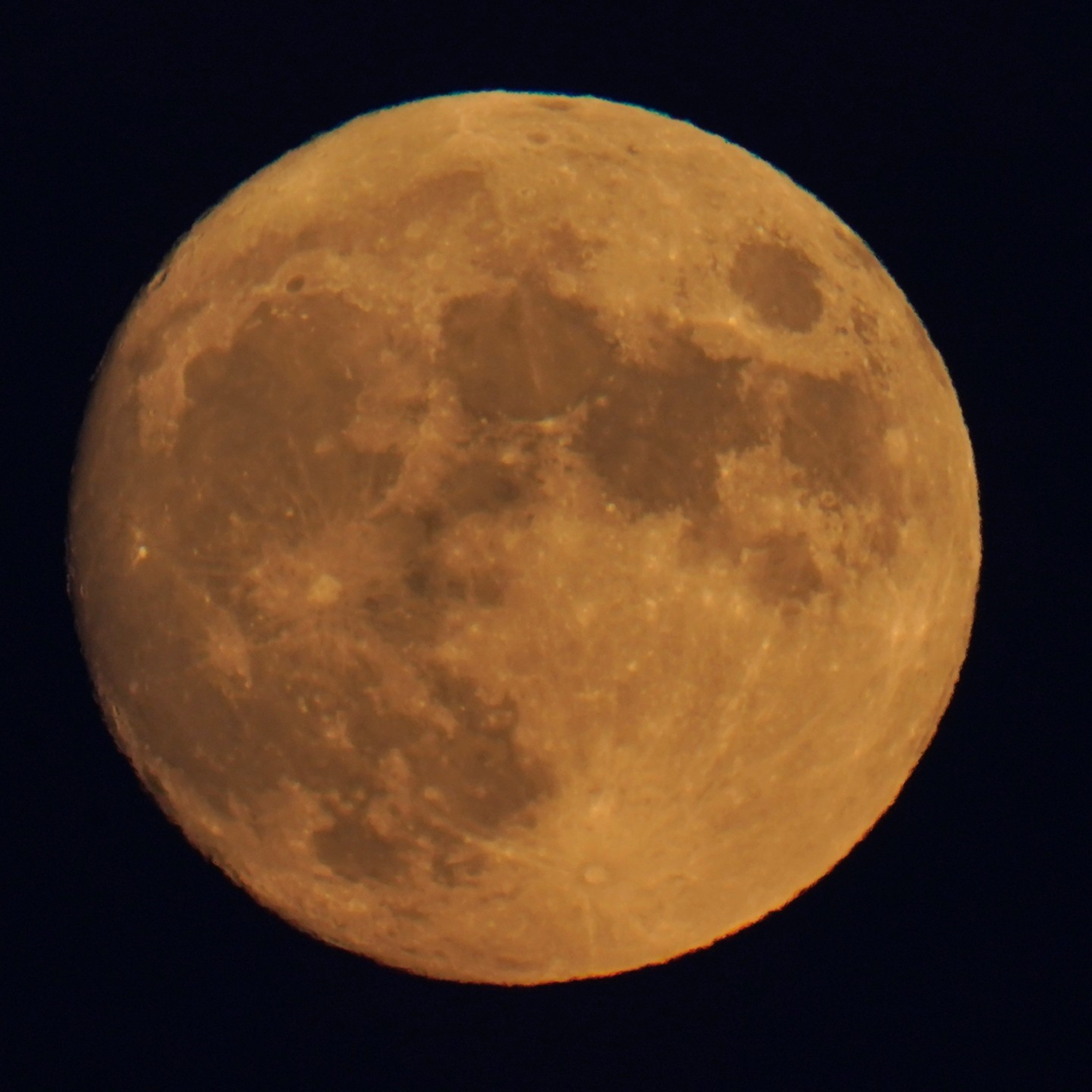 Planet Geek Productions