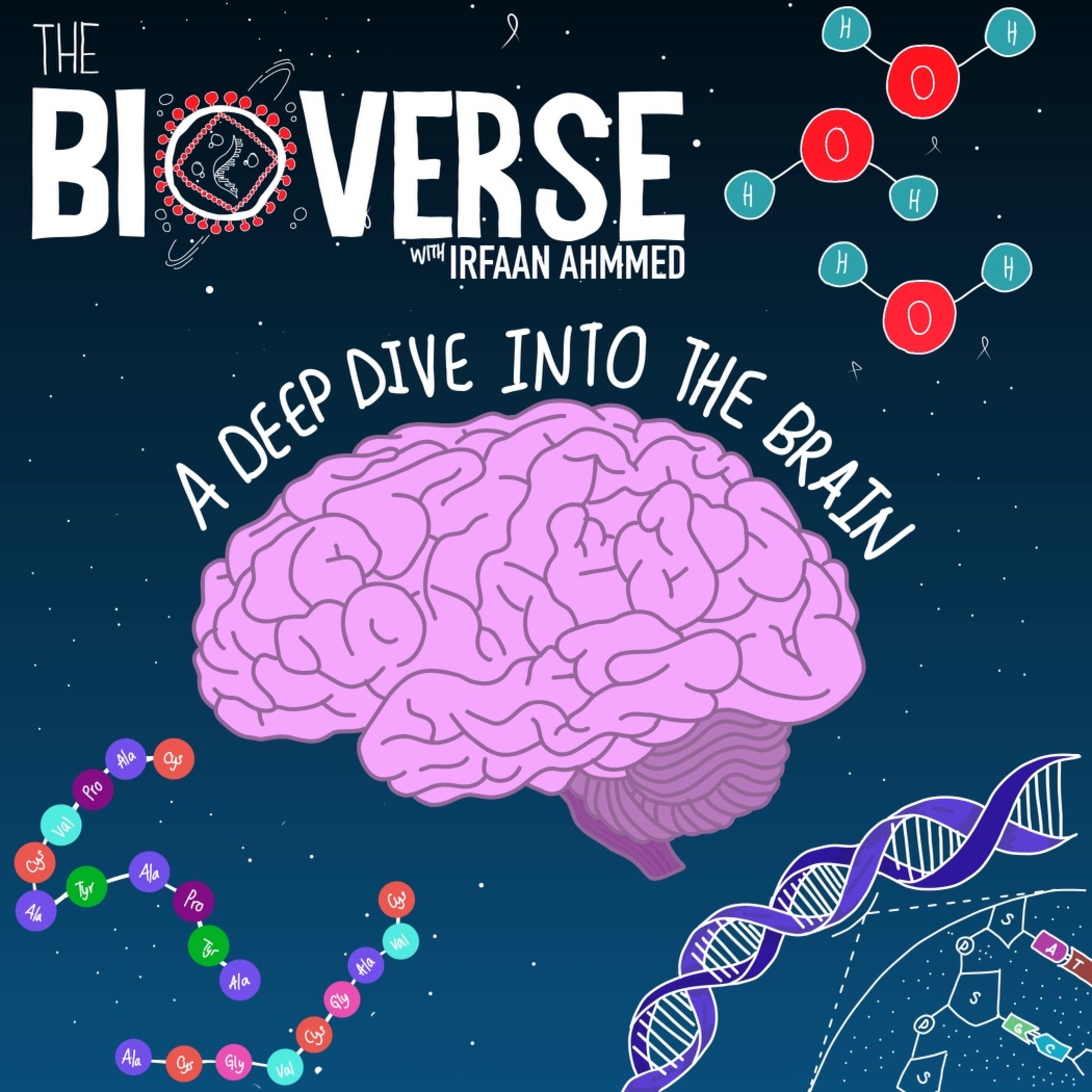 Exploring the Brain episode artwork