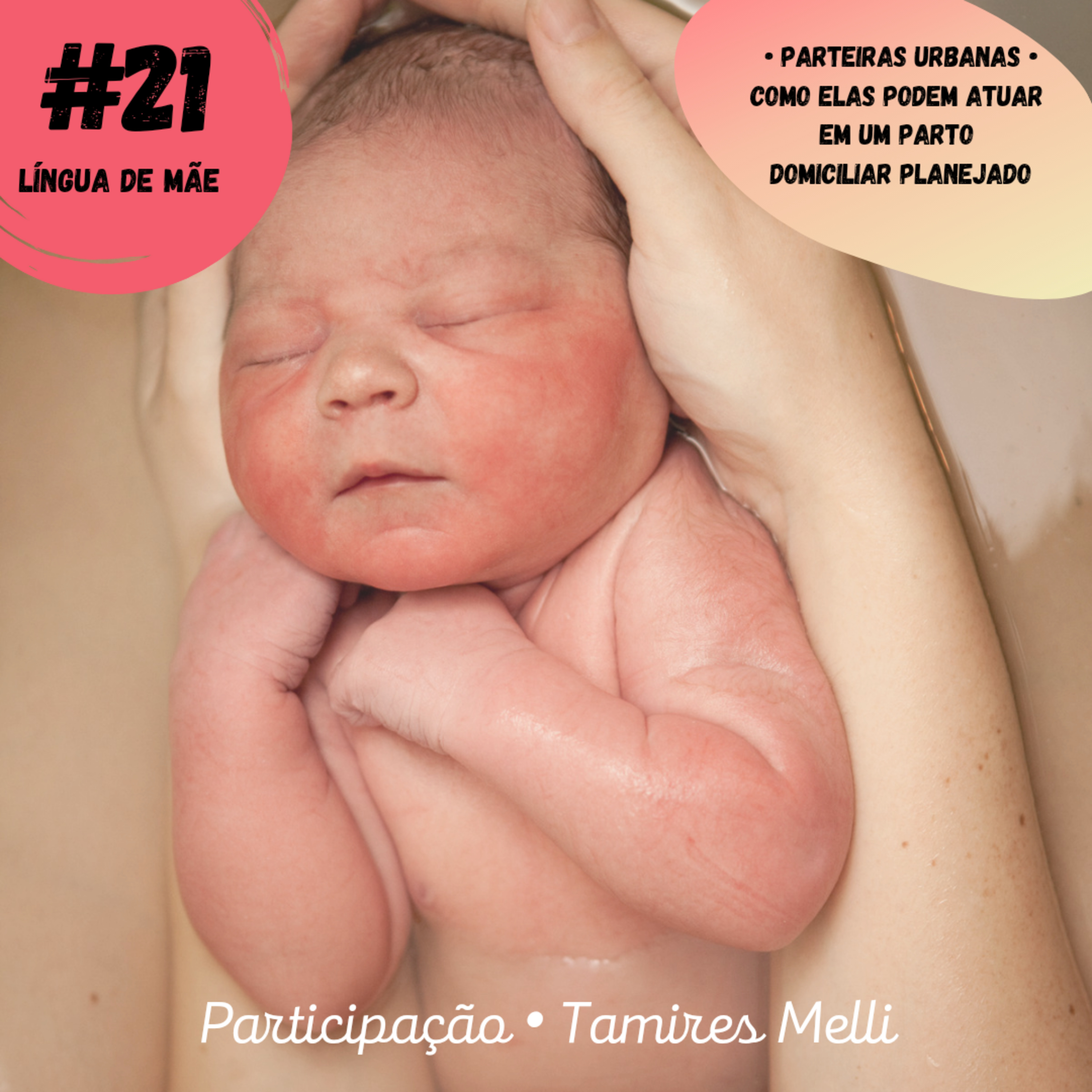 Língua de Mãe