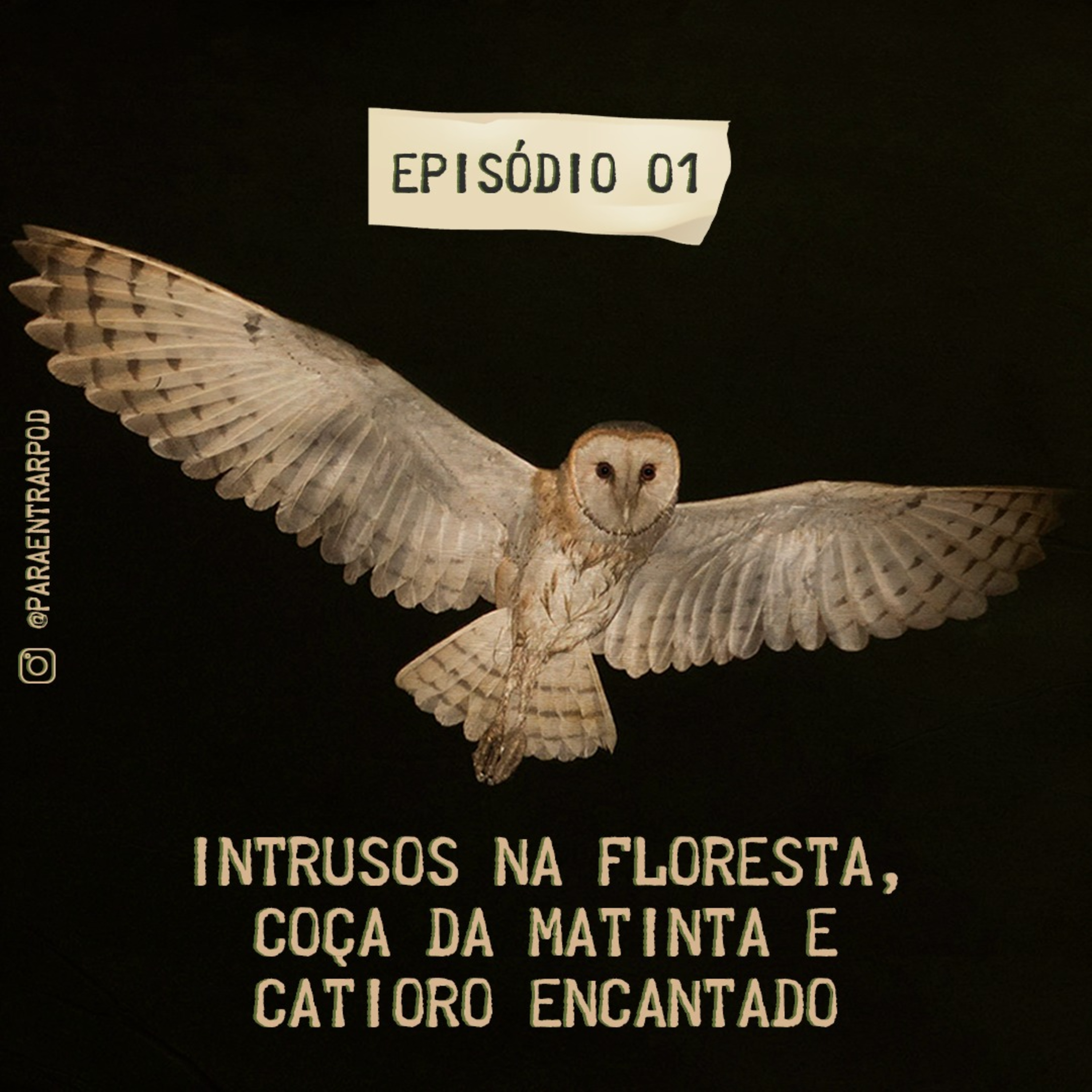 #1 - Intrusos na floresta, Coça da Matinta e o Catioro encantado  episode artwork