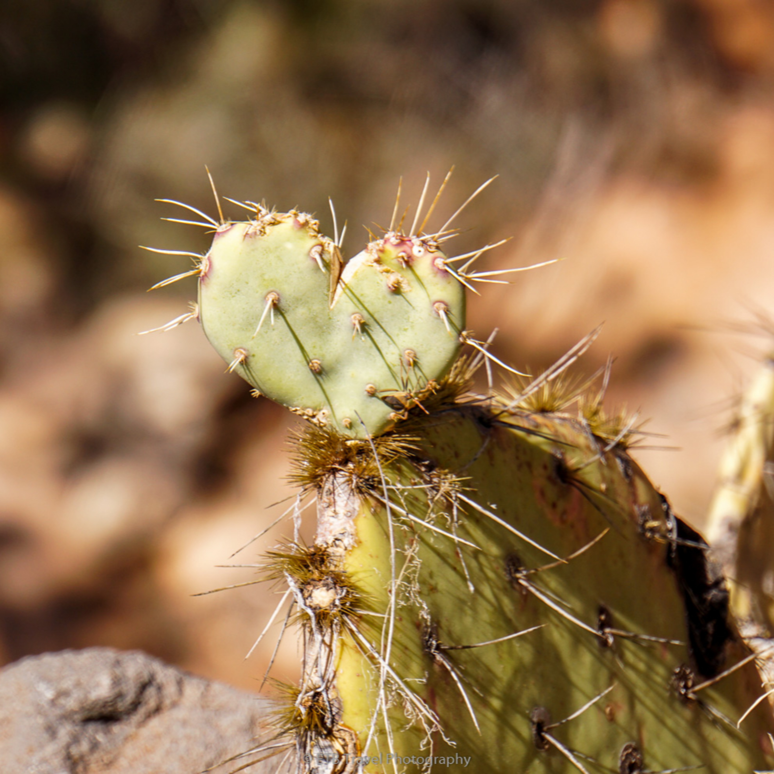 ETB Travel Photography Blog