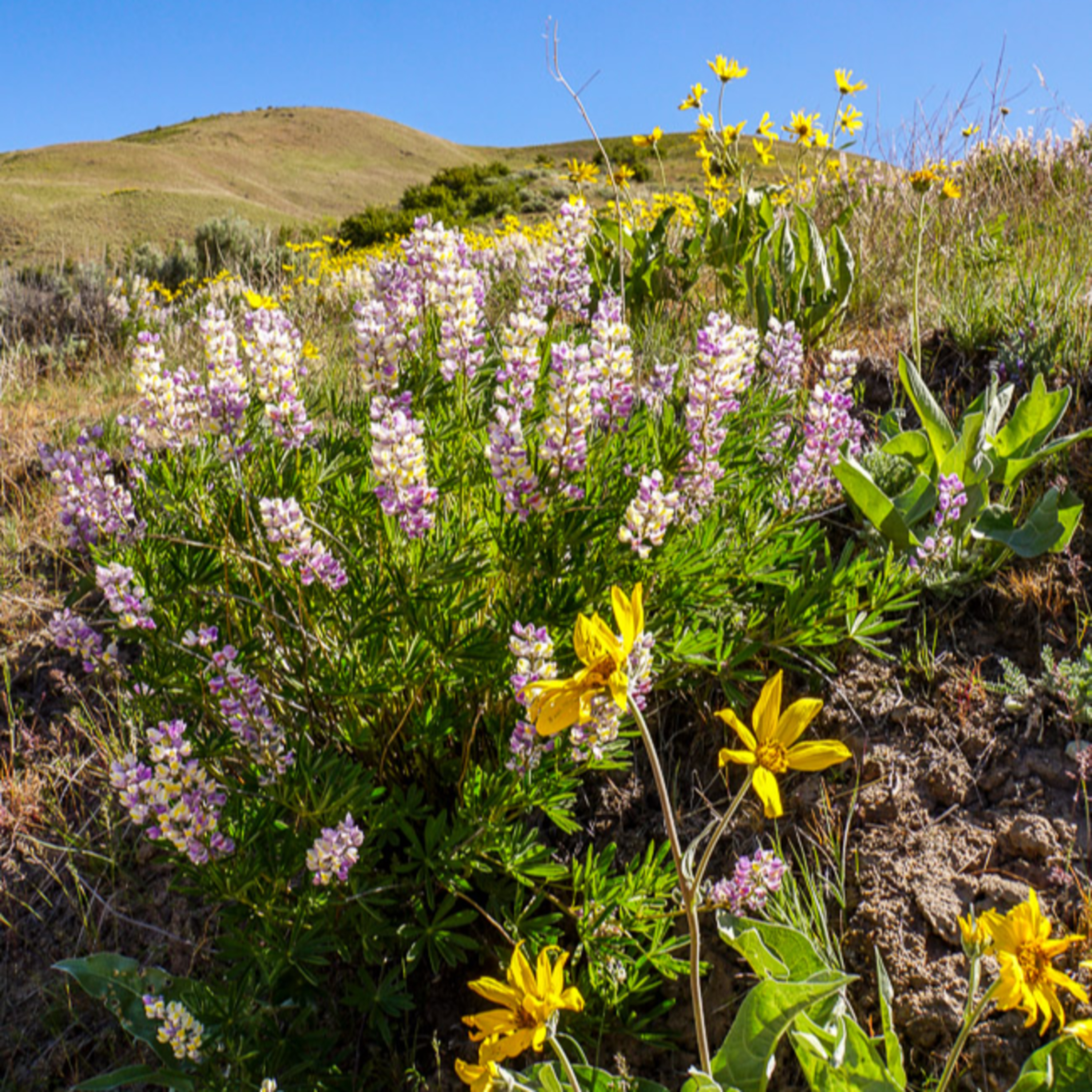 ETB Travel Photography Blog