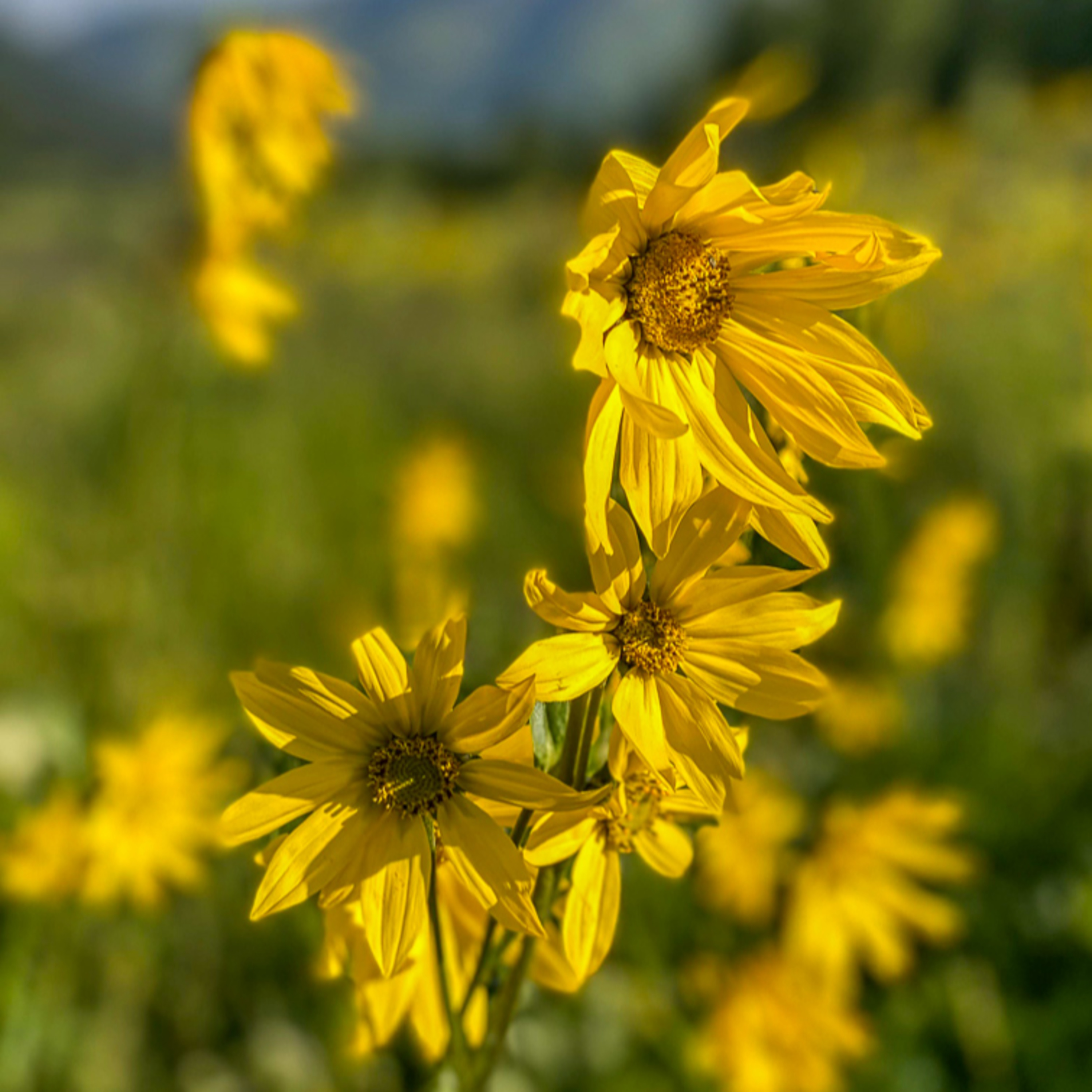 ETB Travel Photography Blog