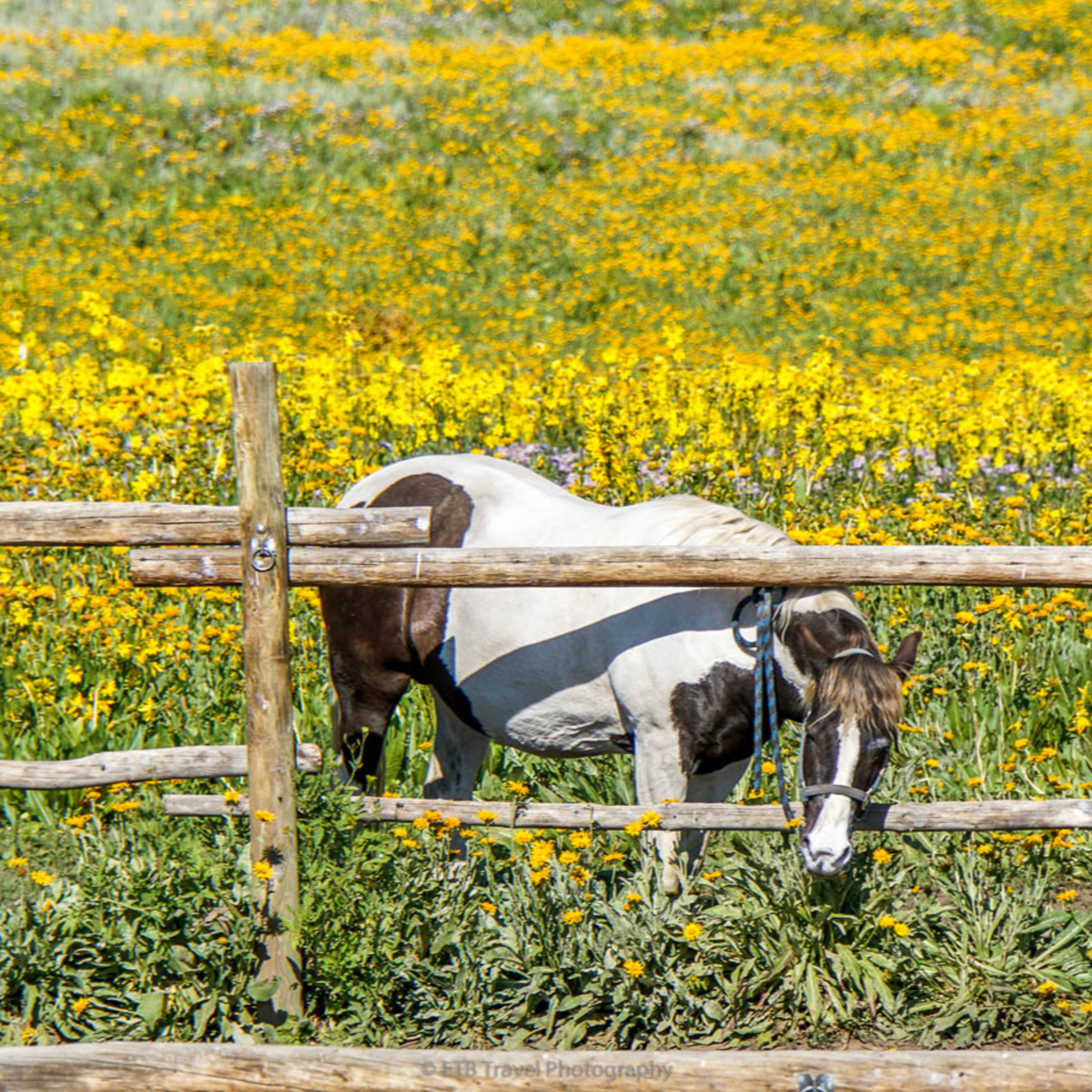 ETB Travel Photography Blog