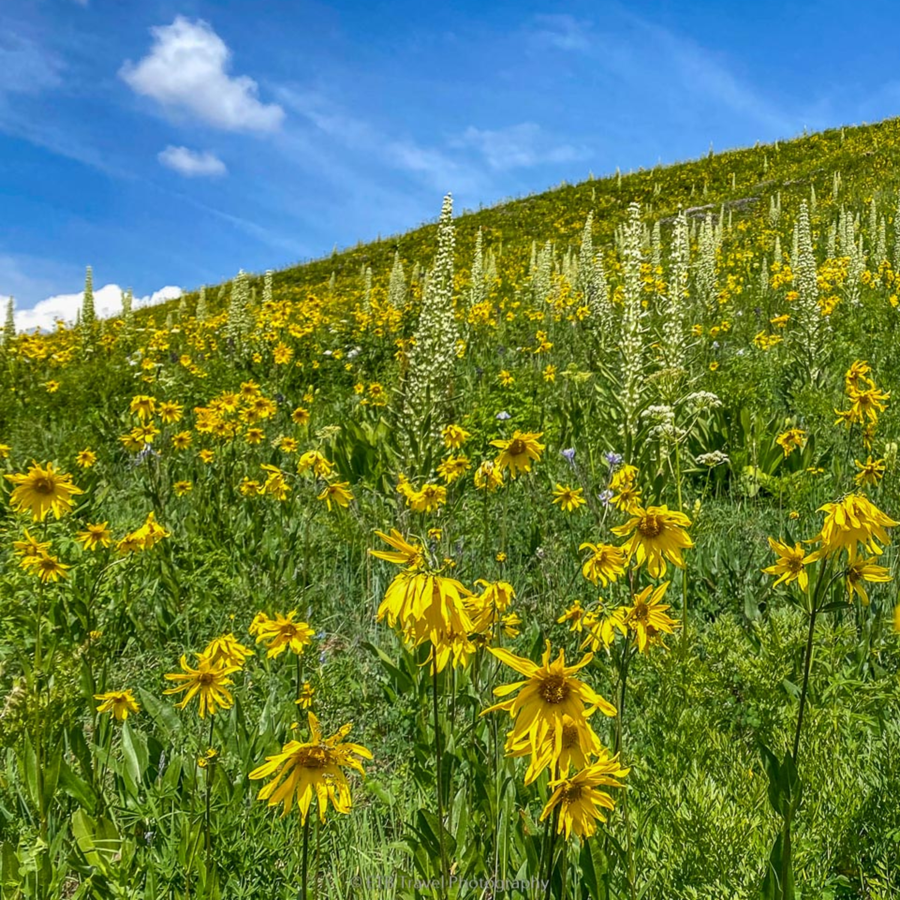 ETB Travel Photography Blog