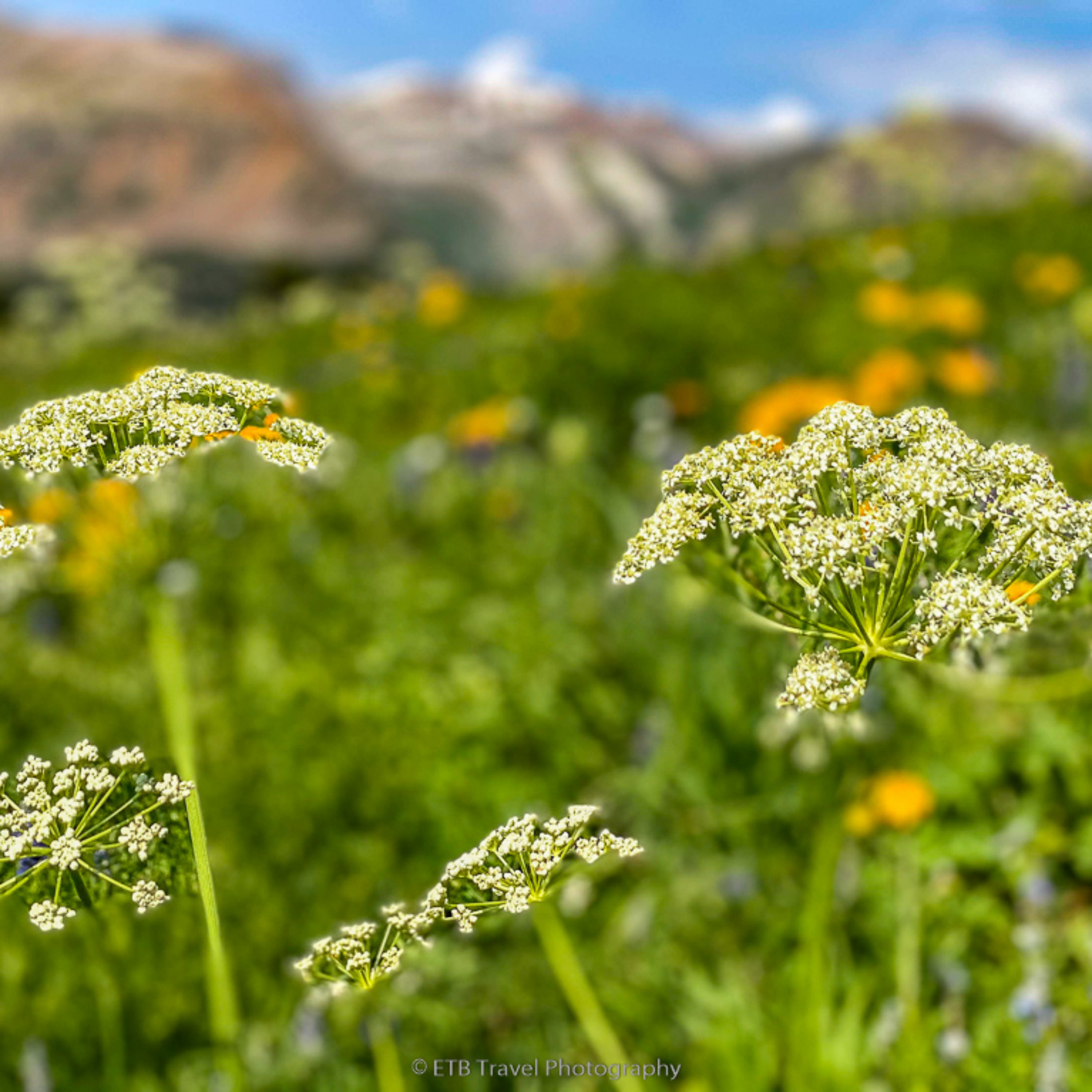 ETB Travel Photography Blog
