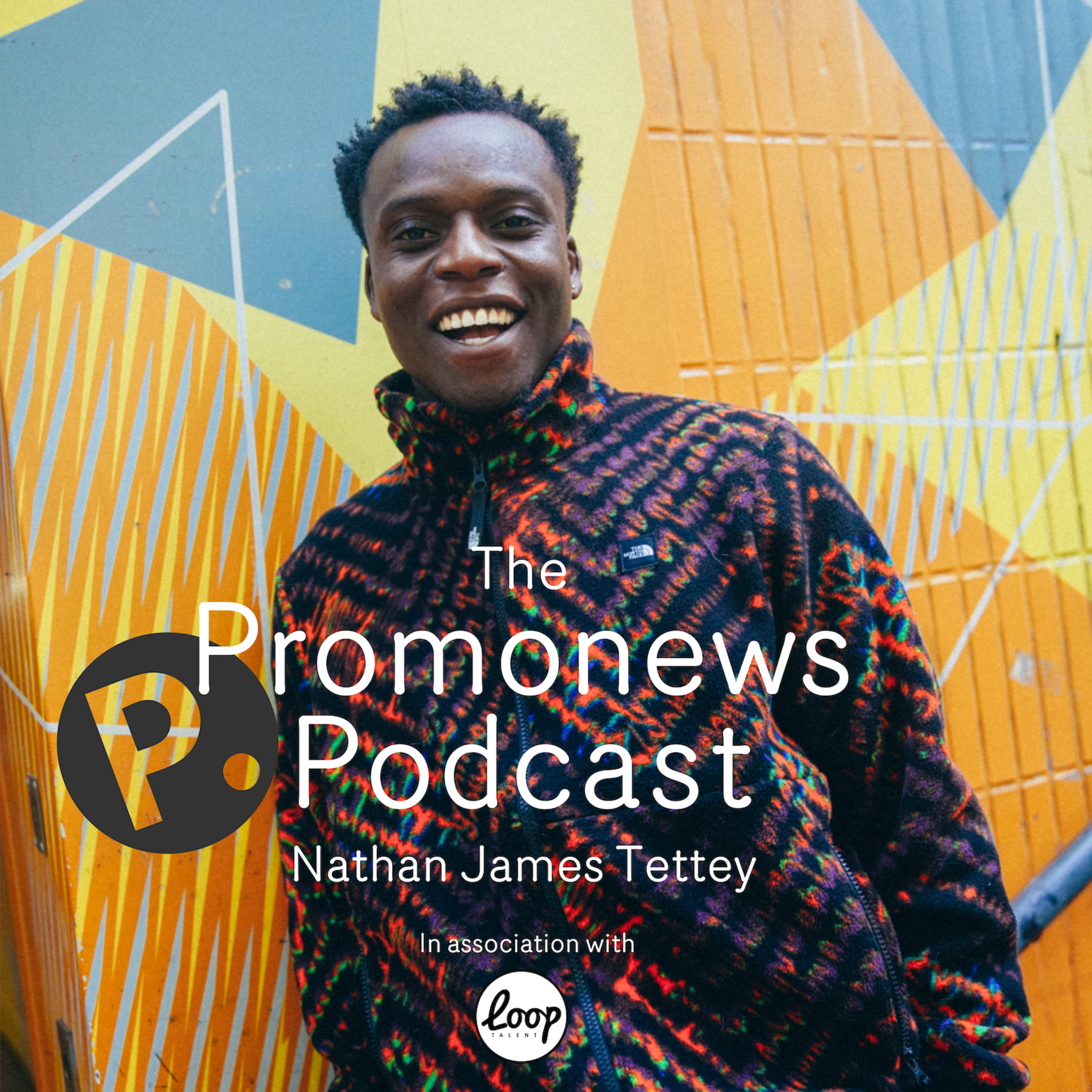 THE PROMONEWS PODCAST - Talking Music Videos