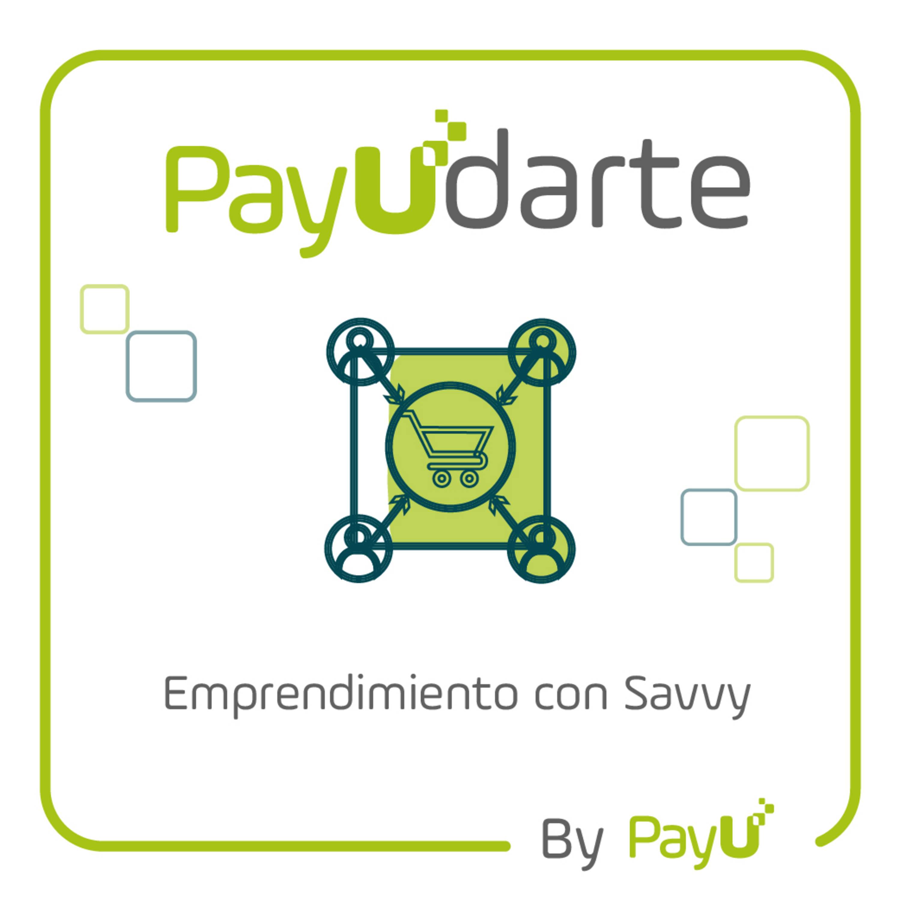 PayUdarte