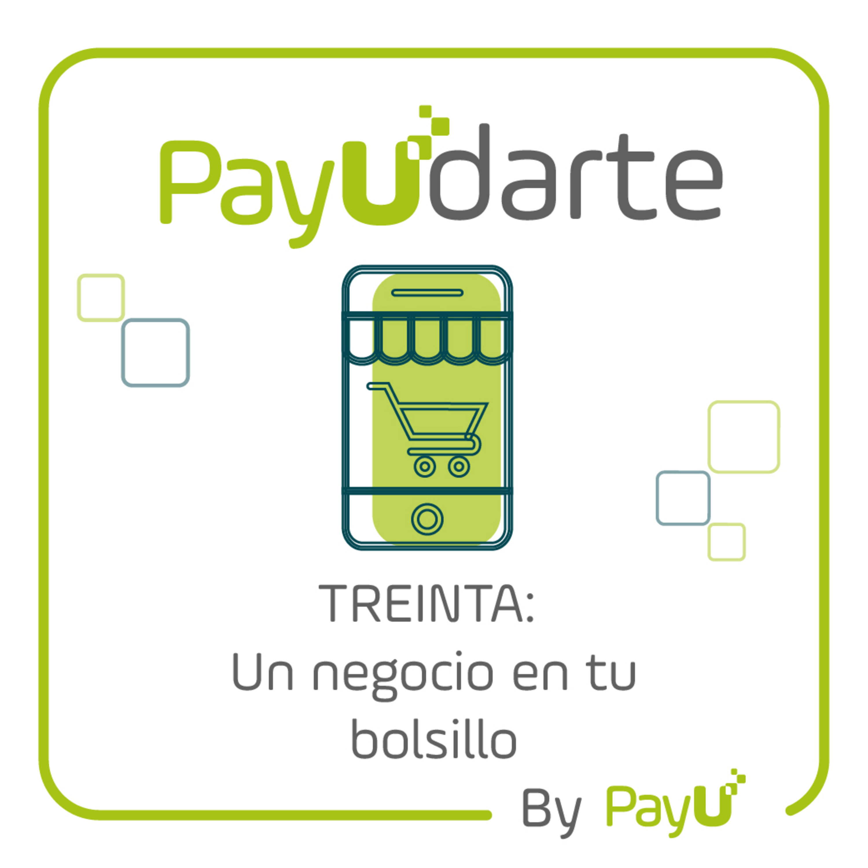 PayUdarte