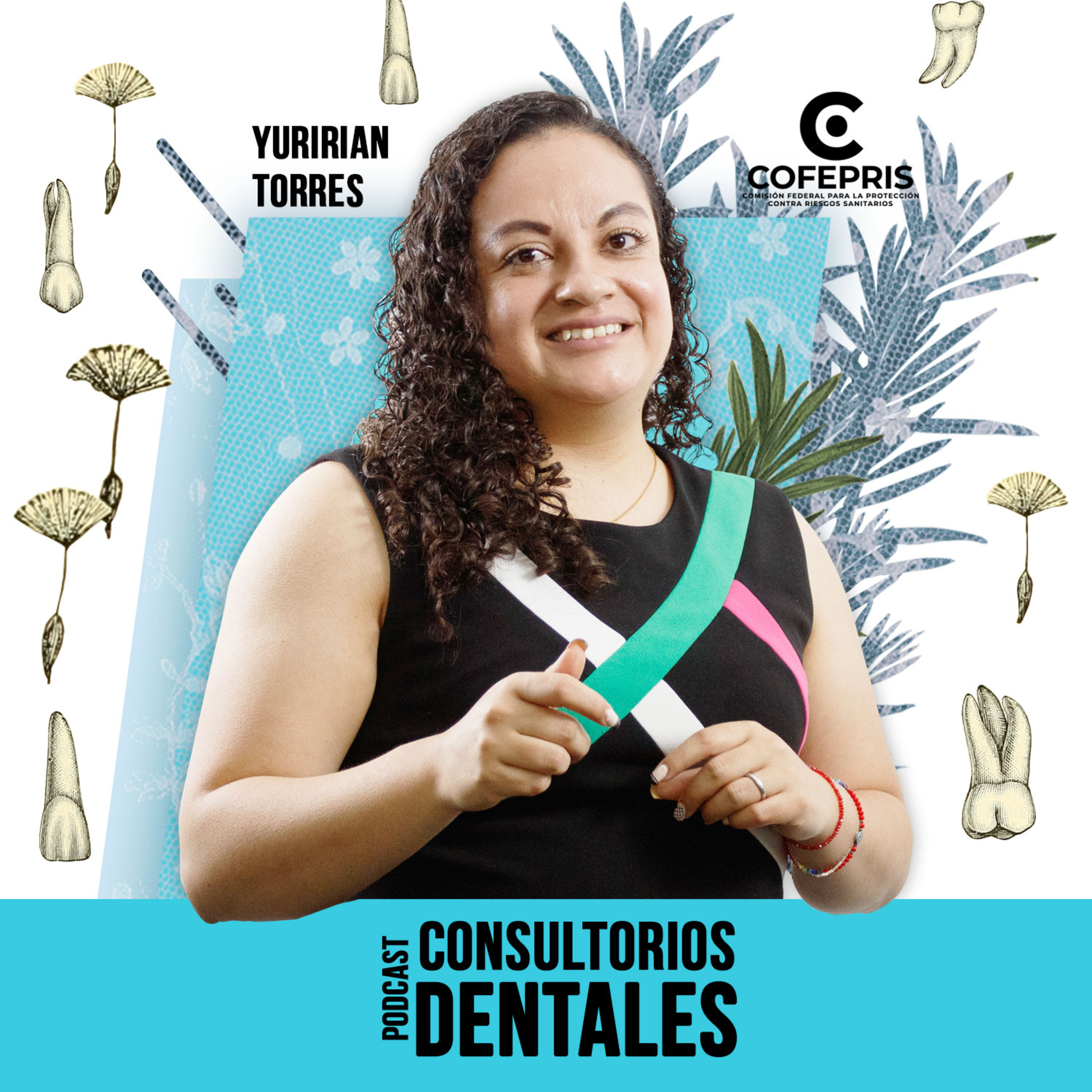 12 Consultorios Dentales episode artwork